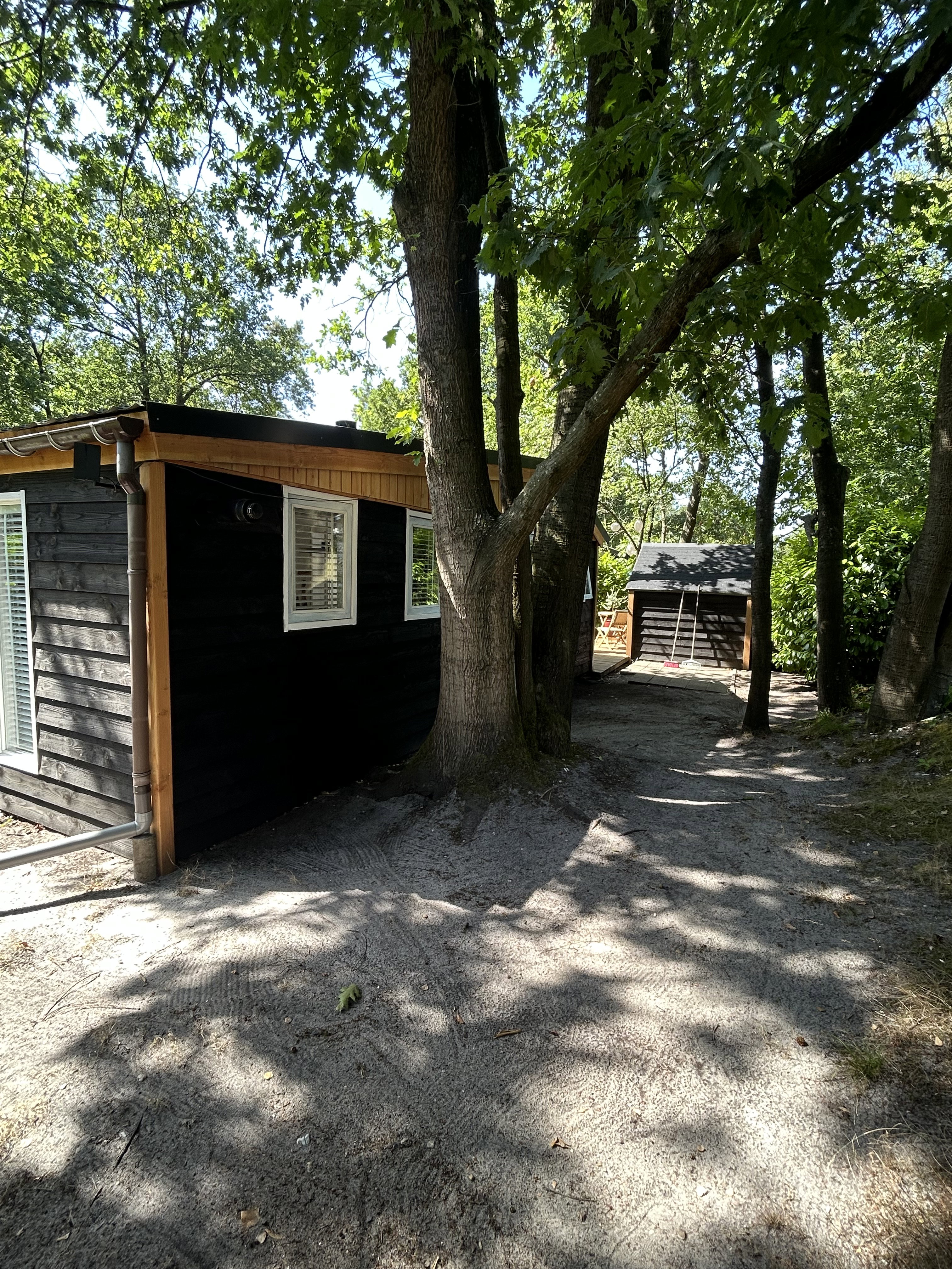 Maison nature à Hattemerbroek