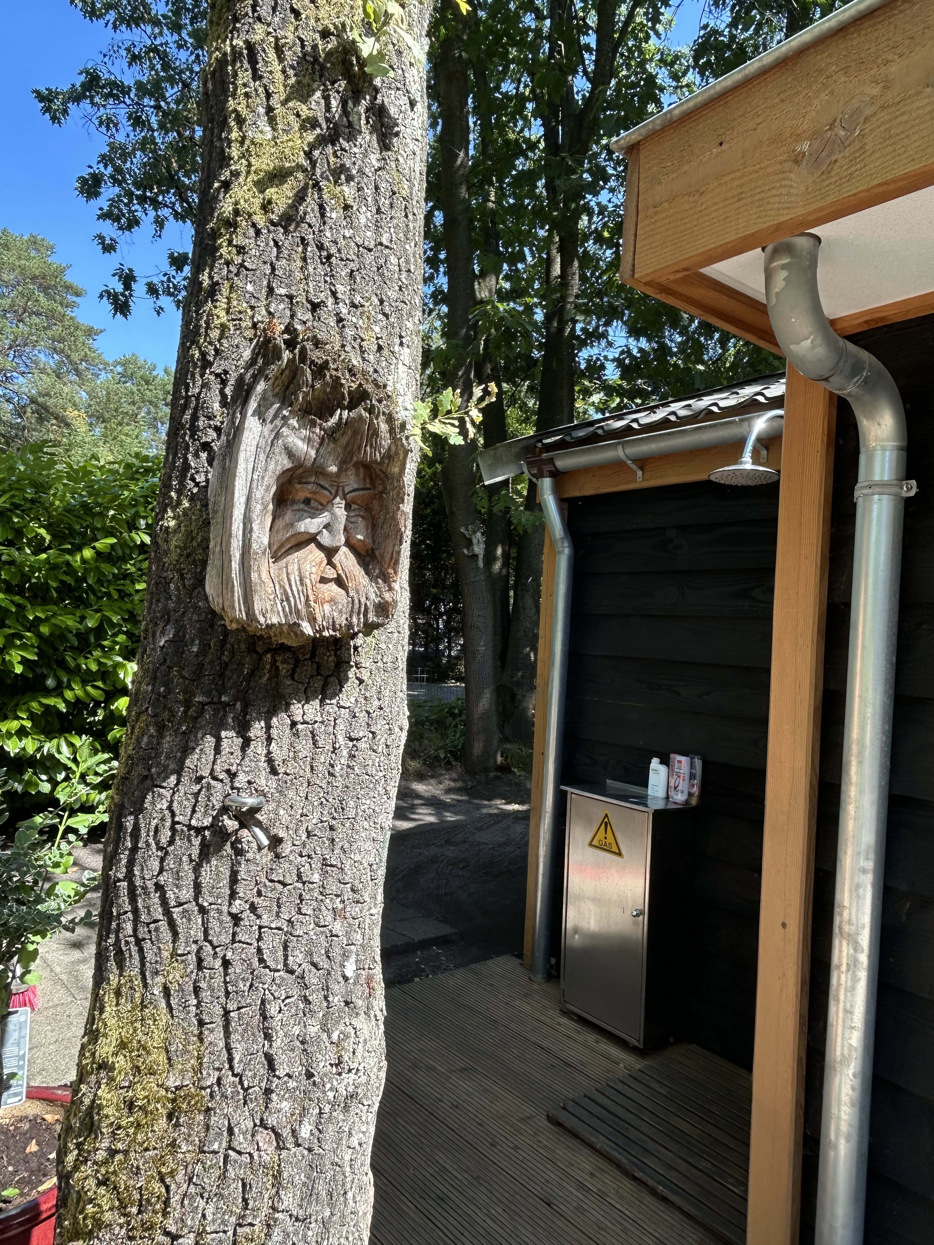Maison nature à Hattemerbroek