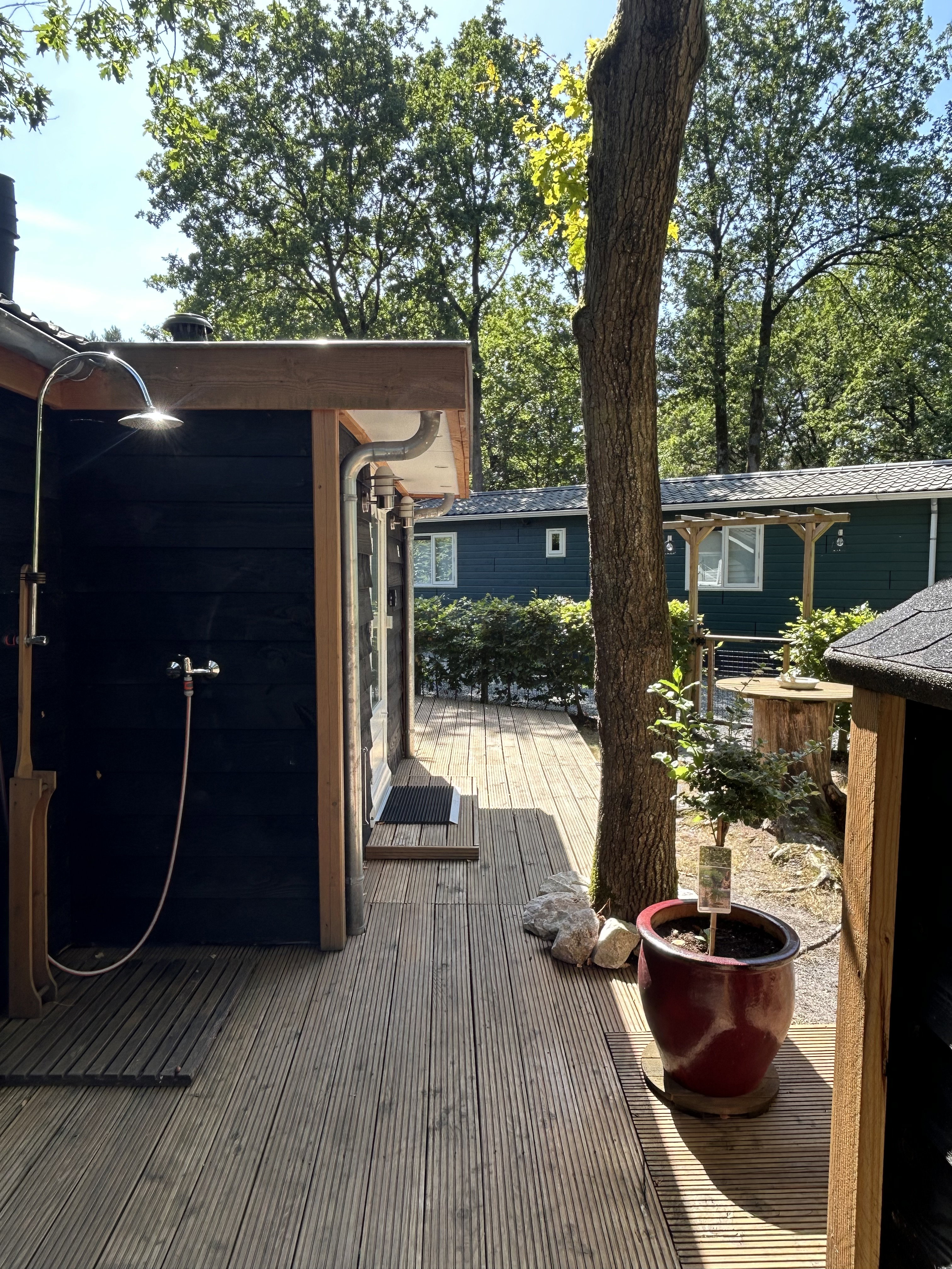 Maison nature à Hattemerbroek