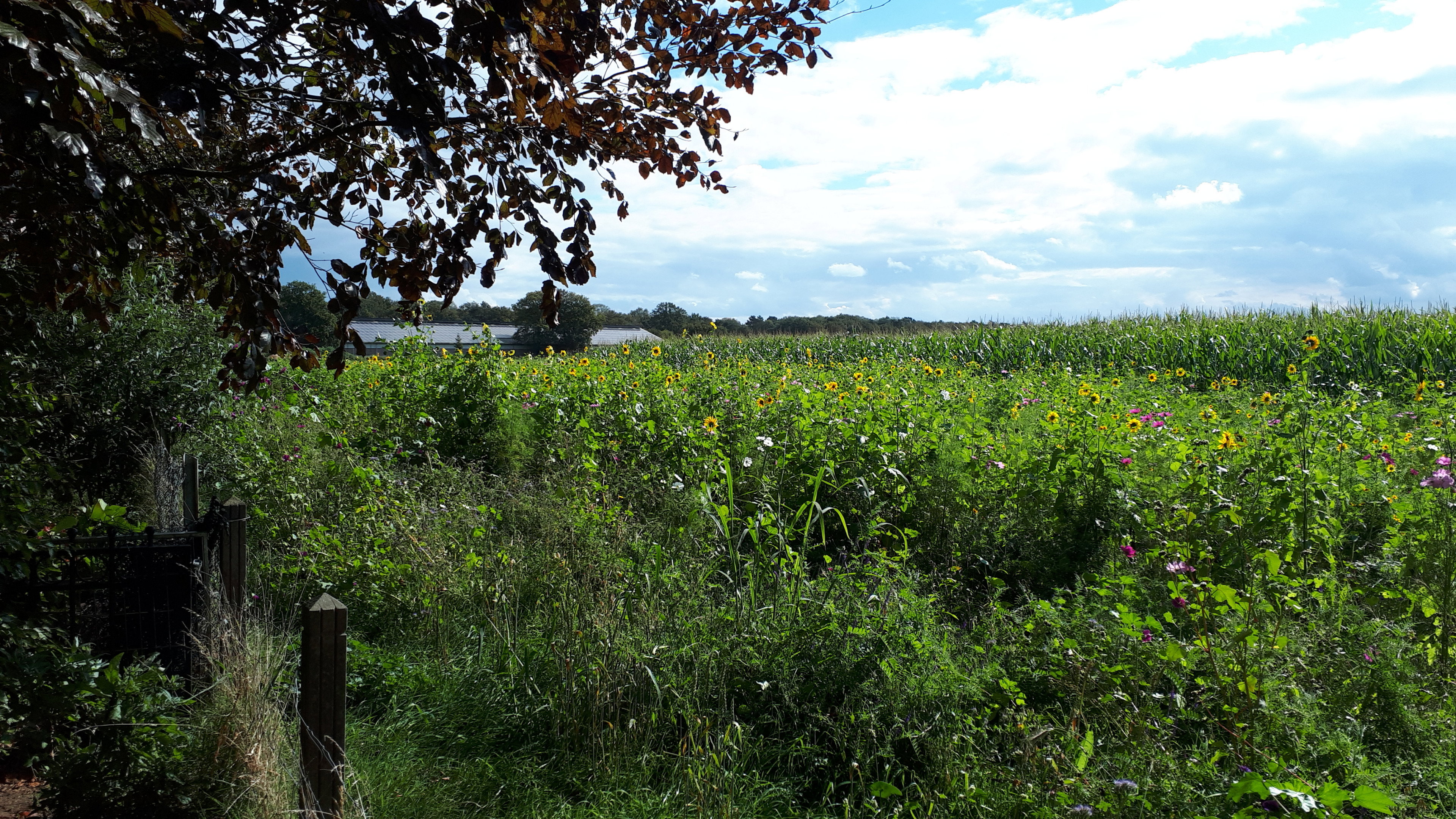 Naturhäuschen in Putten