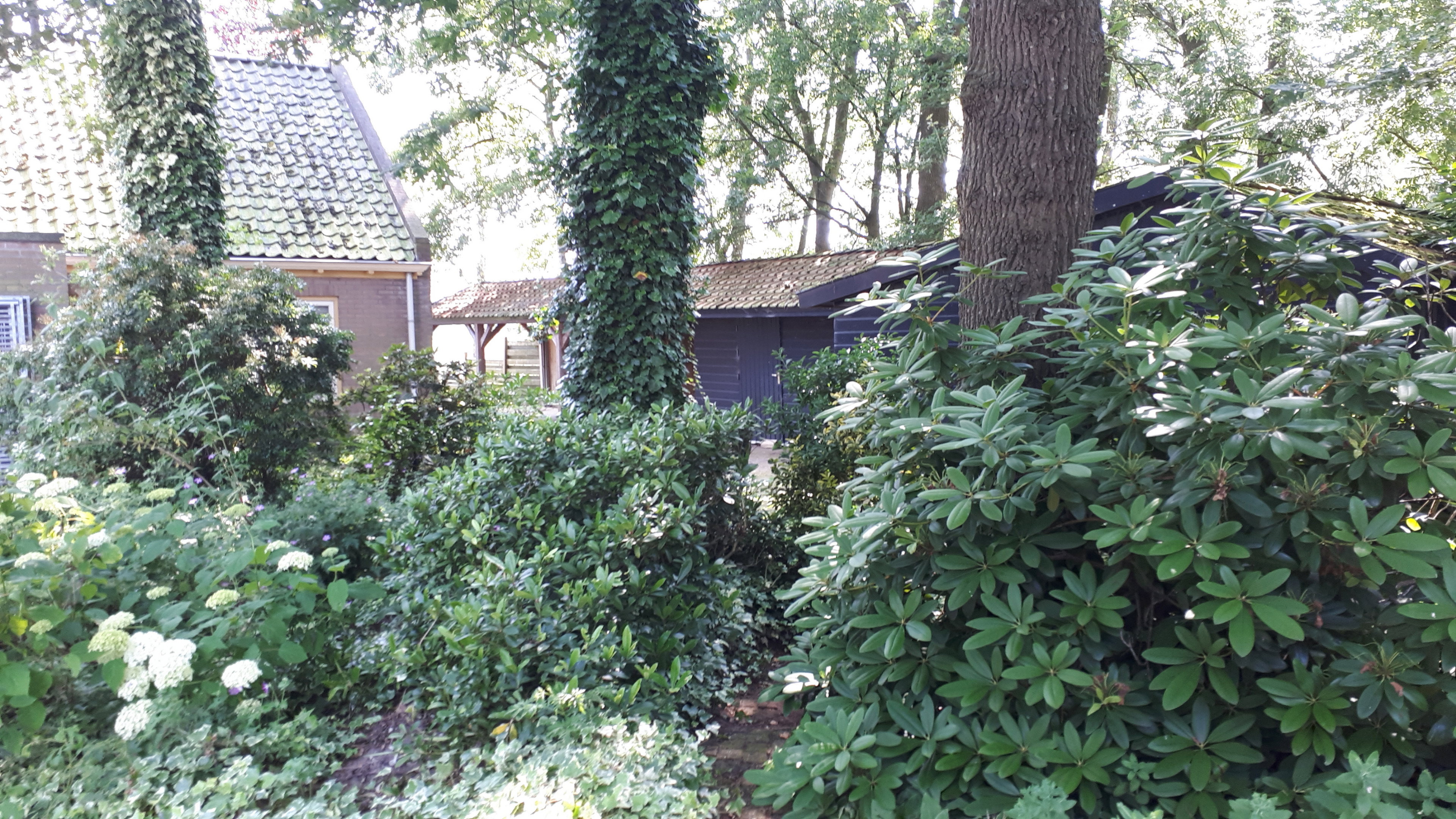 Naturhäuschen in Putten