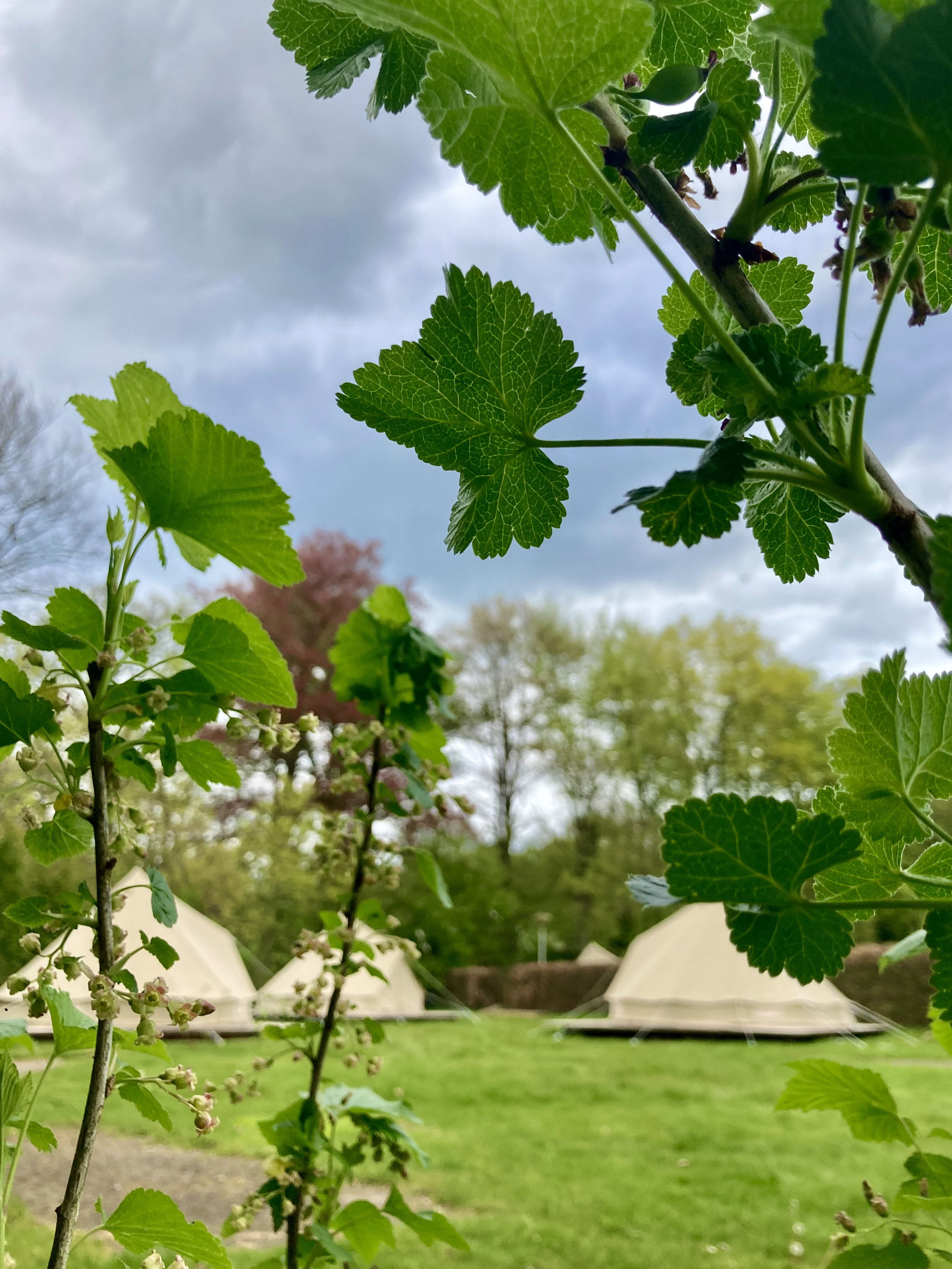 Naturhäuschen in Lochem