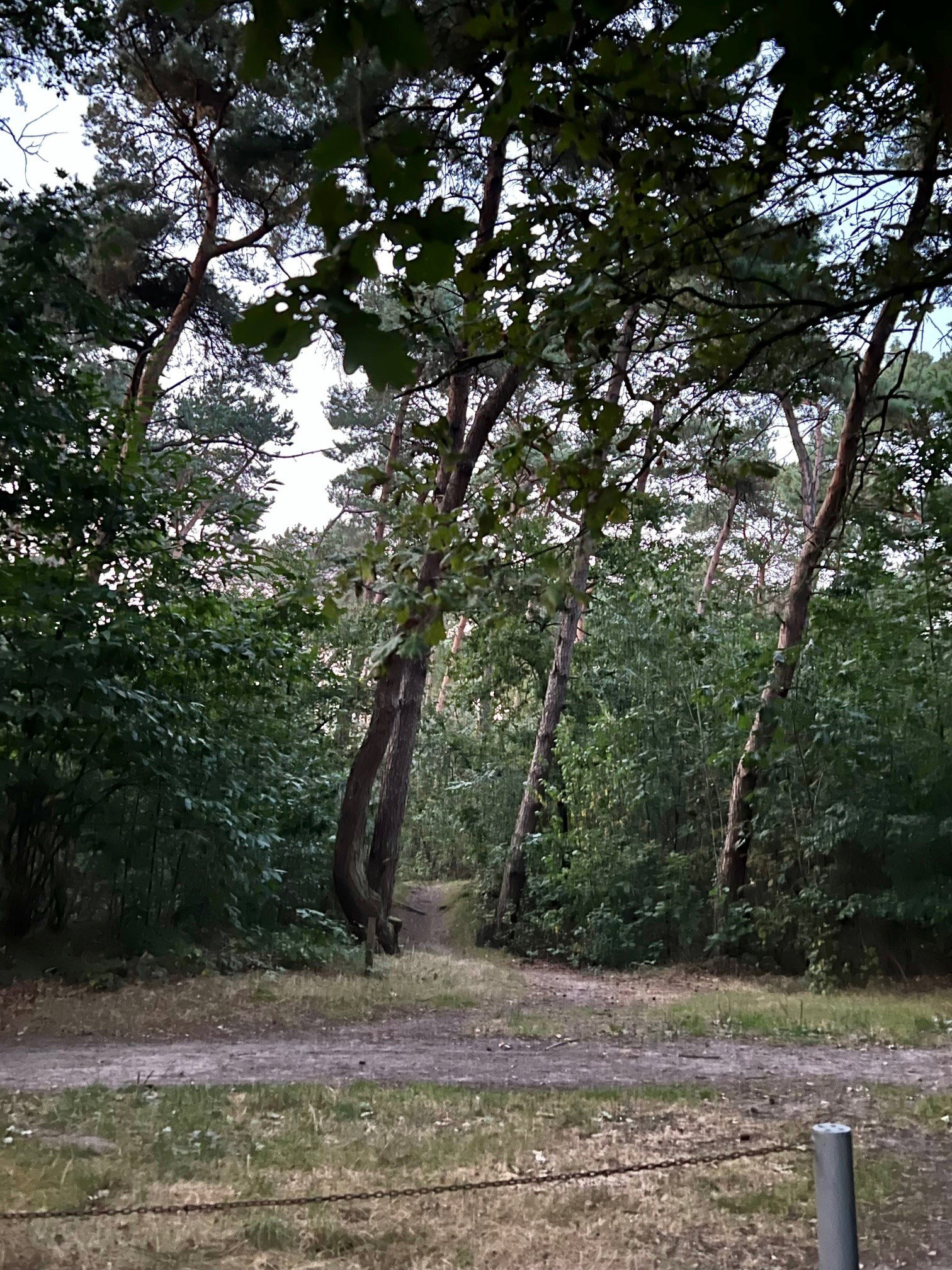 - image: 25