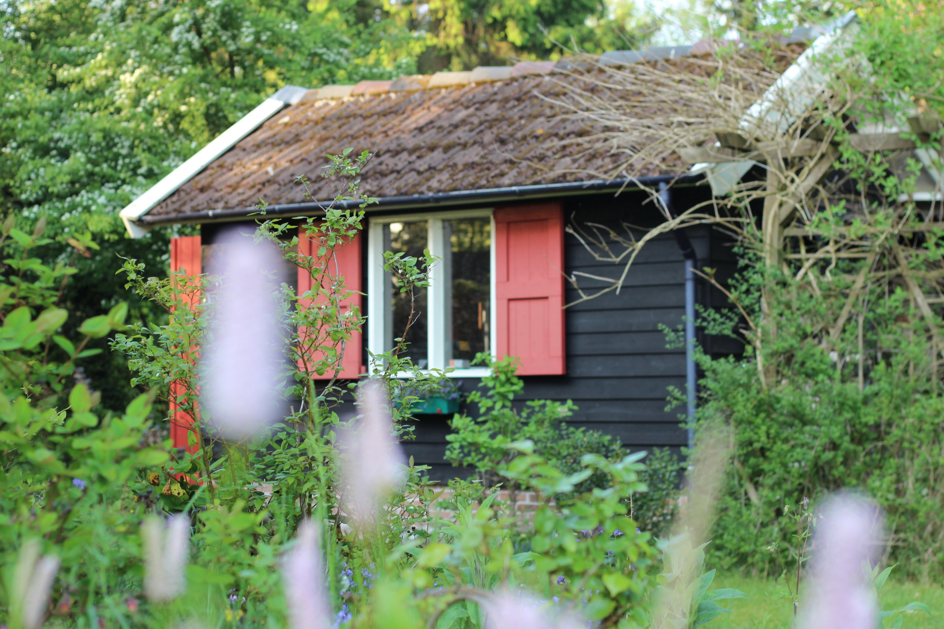 Casa nella natura a Wittelte