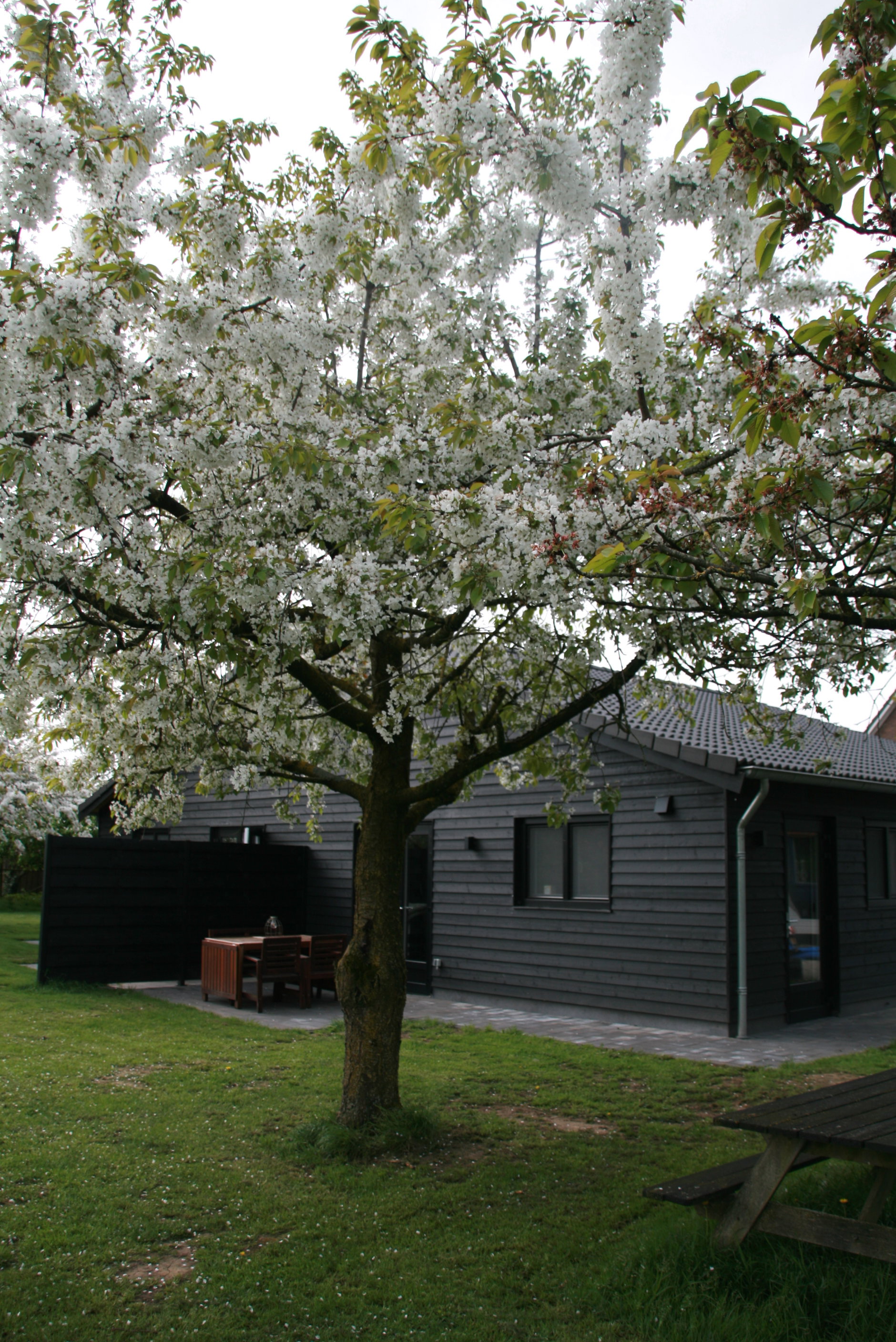 Maison nature à Herveld