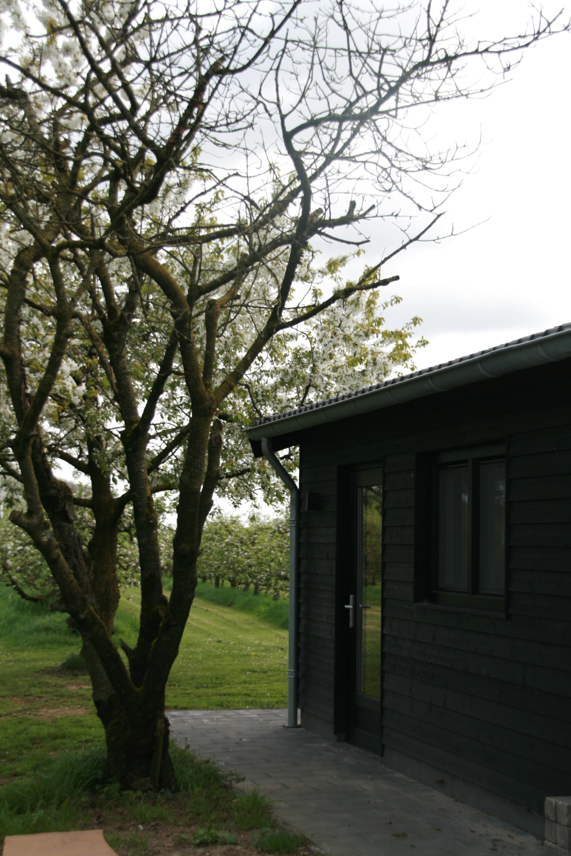 Maison nature à Herveld