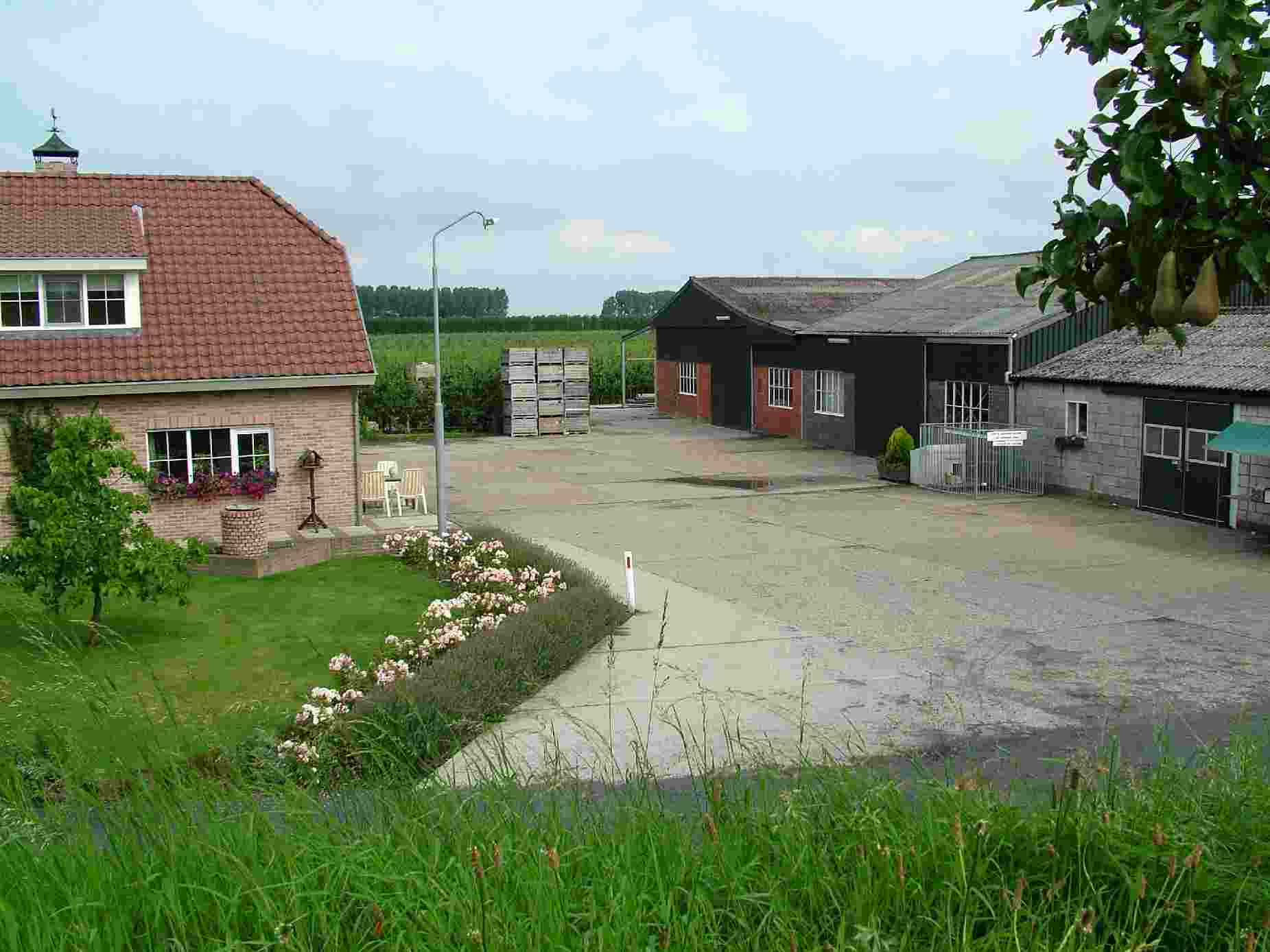 - image: 21