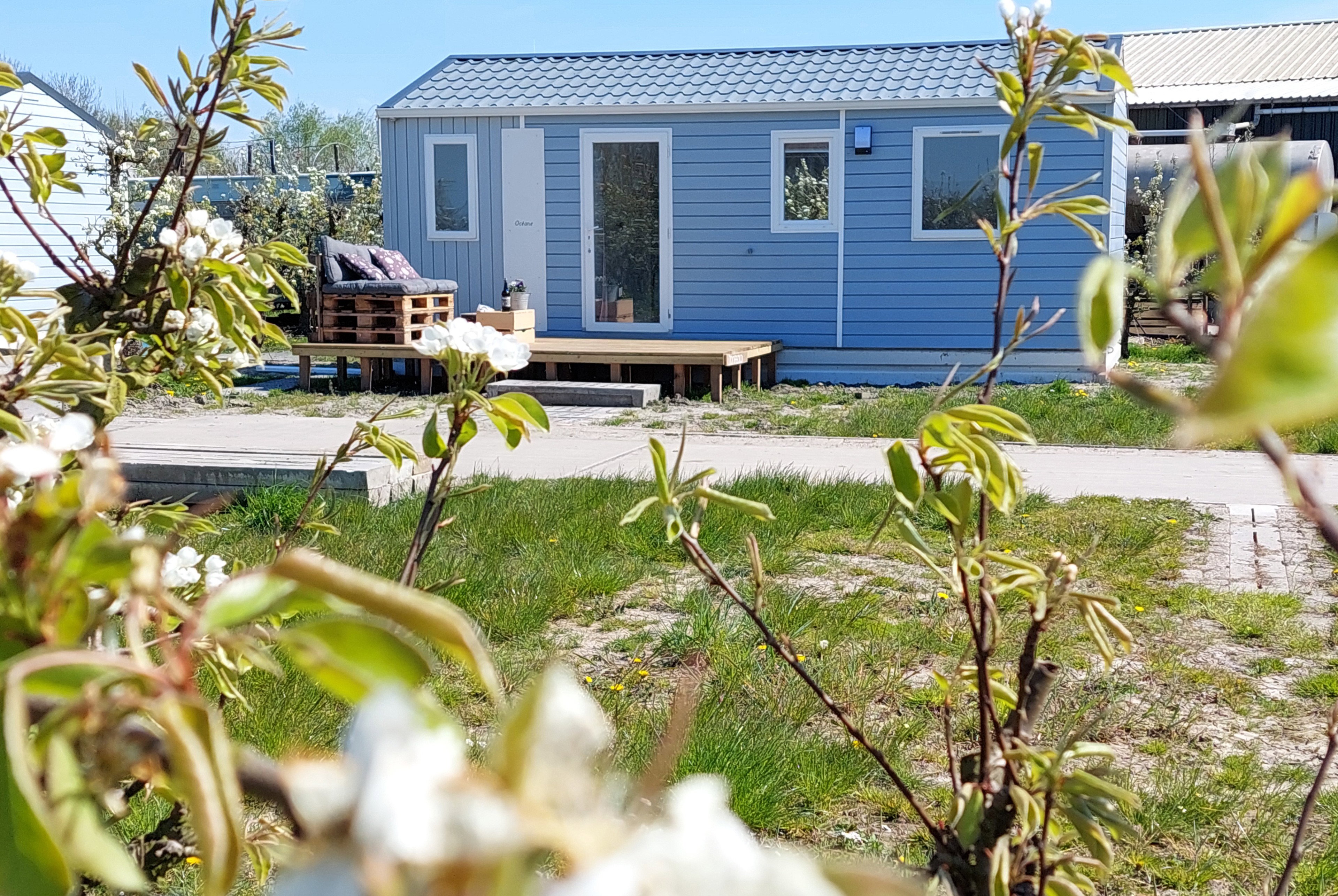 Casa nella natura a Hengstdijk