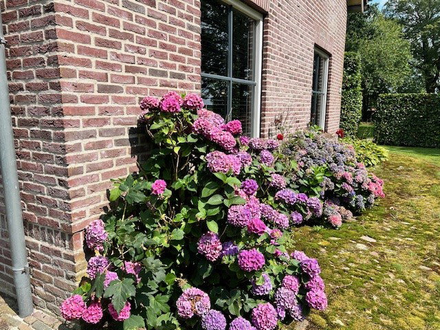 - image: 57
