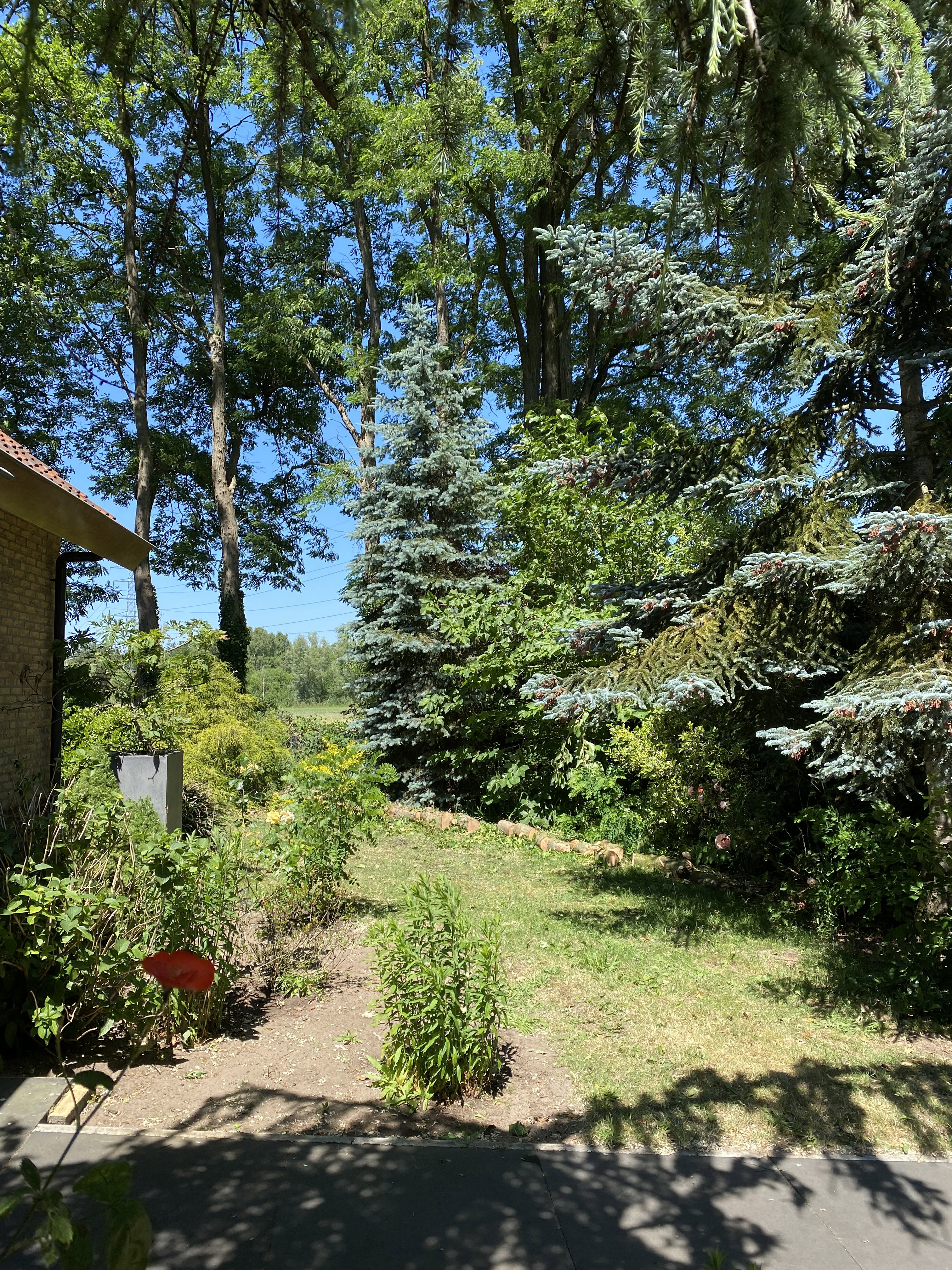 Casa nella natura a Voorthuizen
