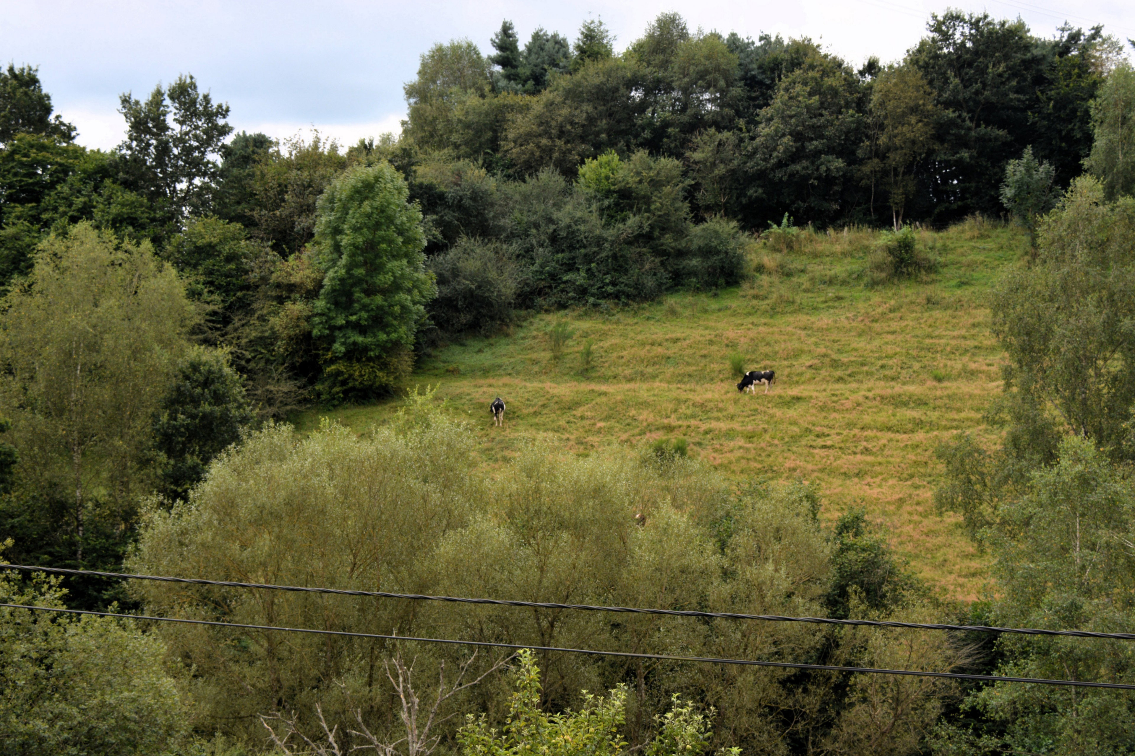 Natuurhuisje in Tavigny
