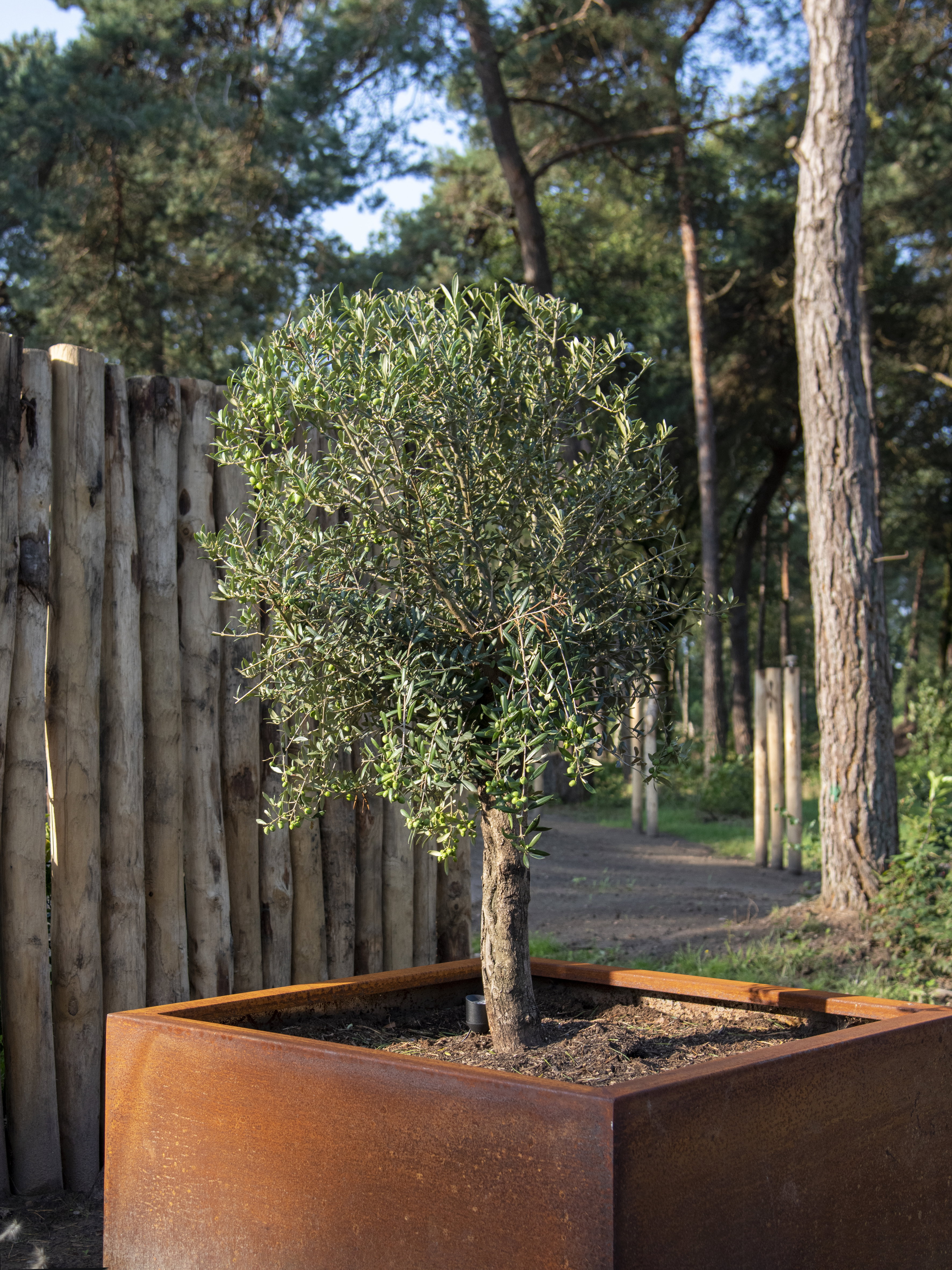 Natuurhuisje in Haarle
