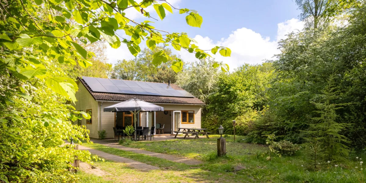 Casa nella natura a Westerbork