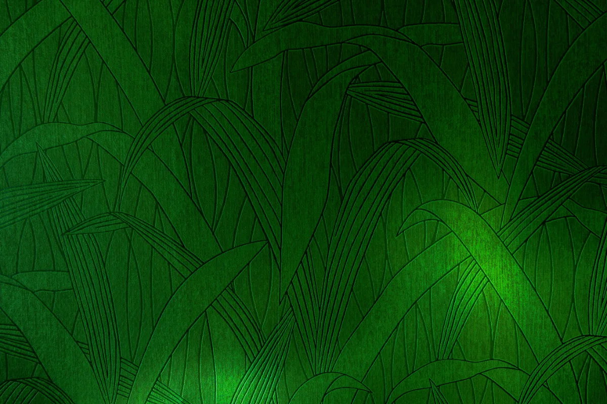 Casa nella natura a Westerbork