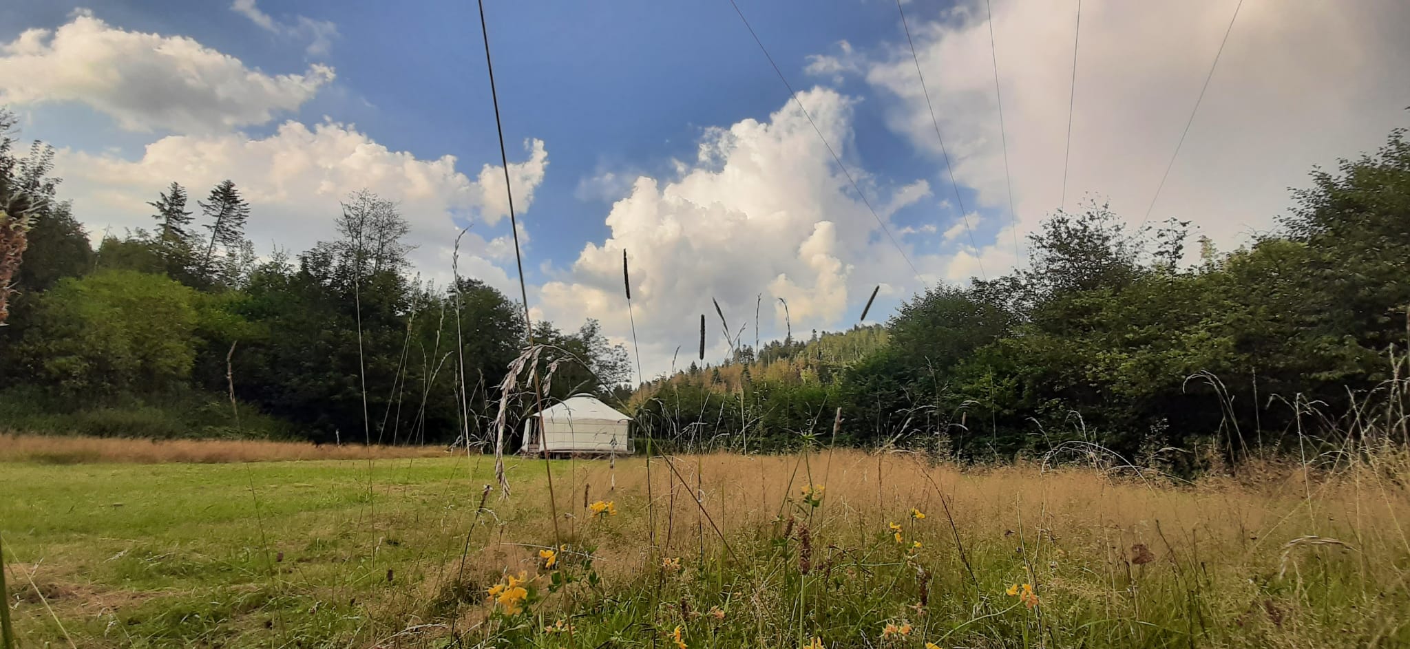 Natuurhuisje in rothenkirchen