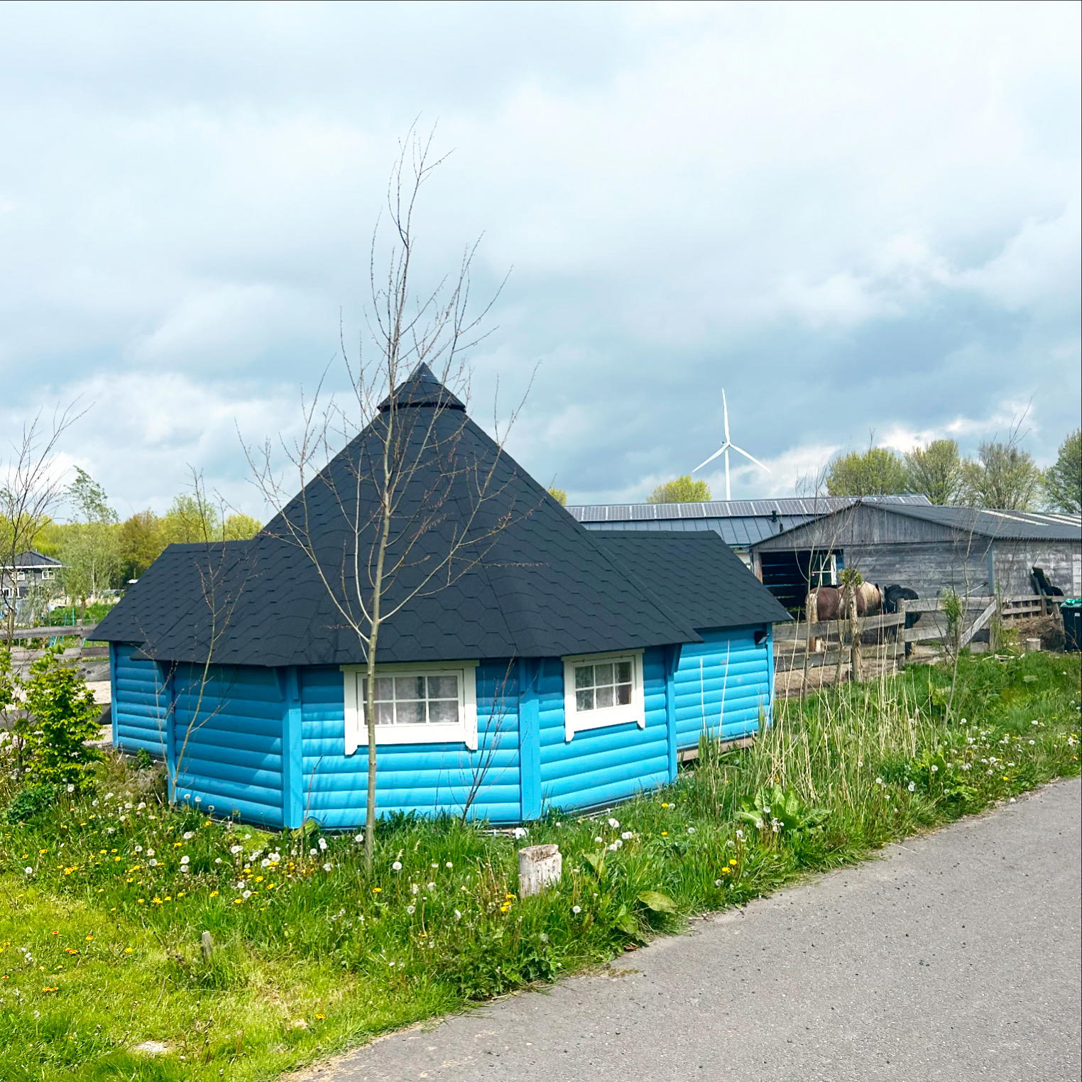 Nature house in Almere