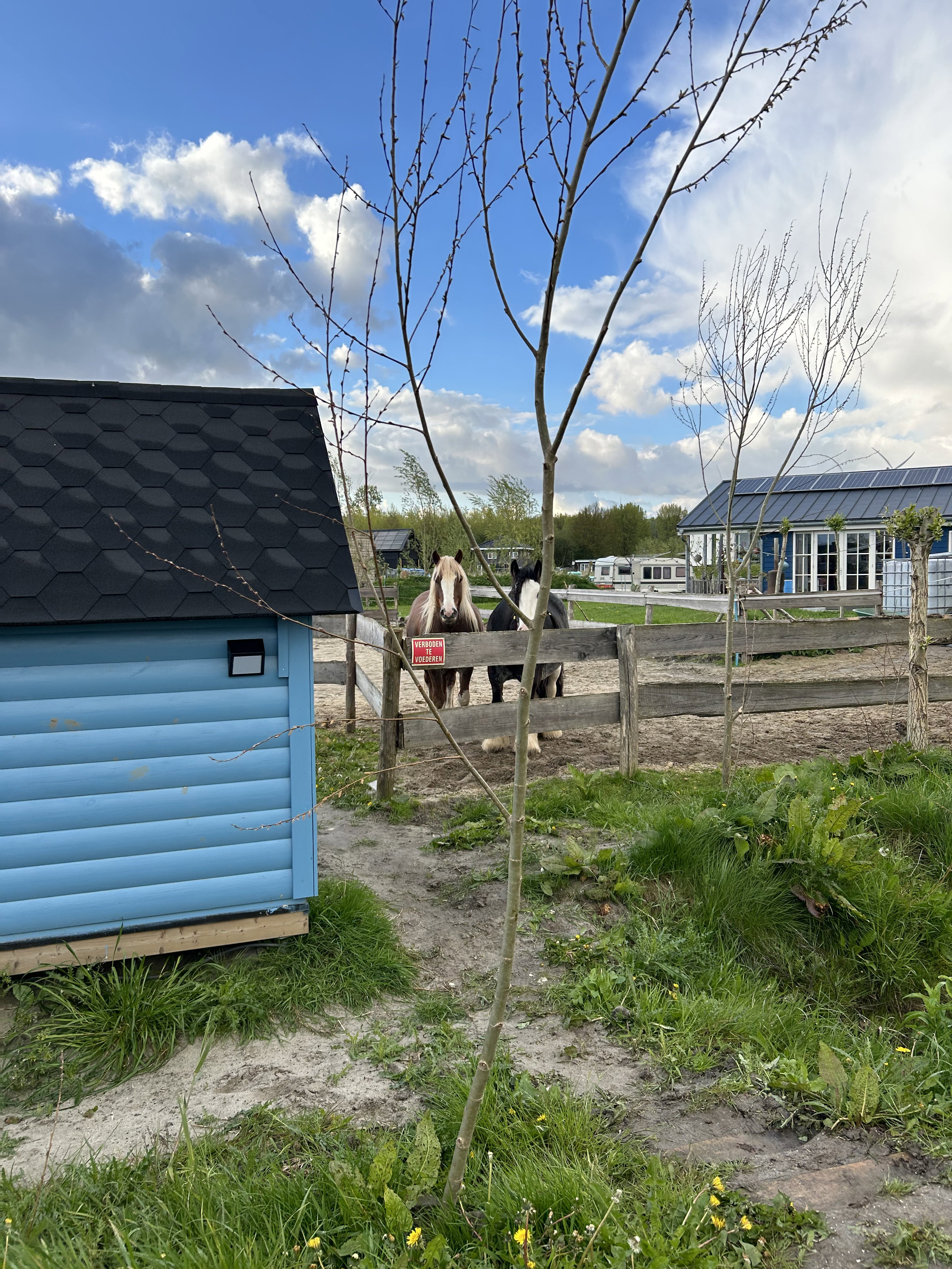 Naturhäuschen in Almere