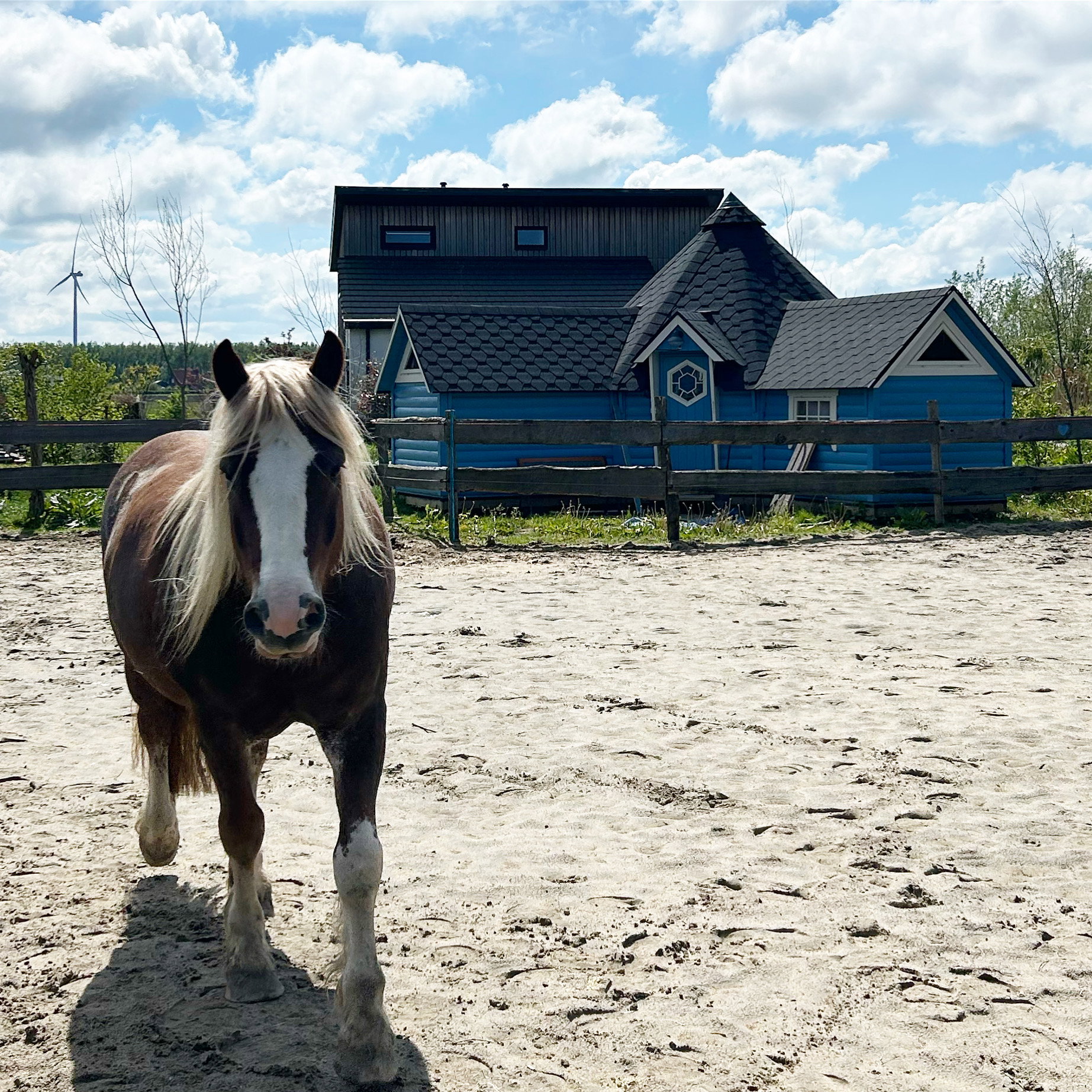 Naturhäuschen in Almere