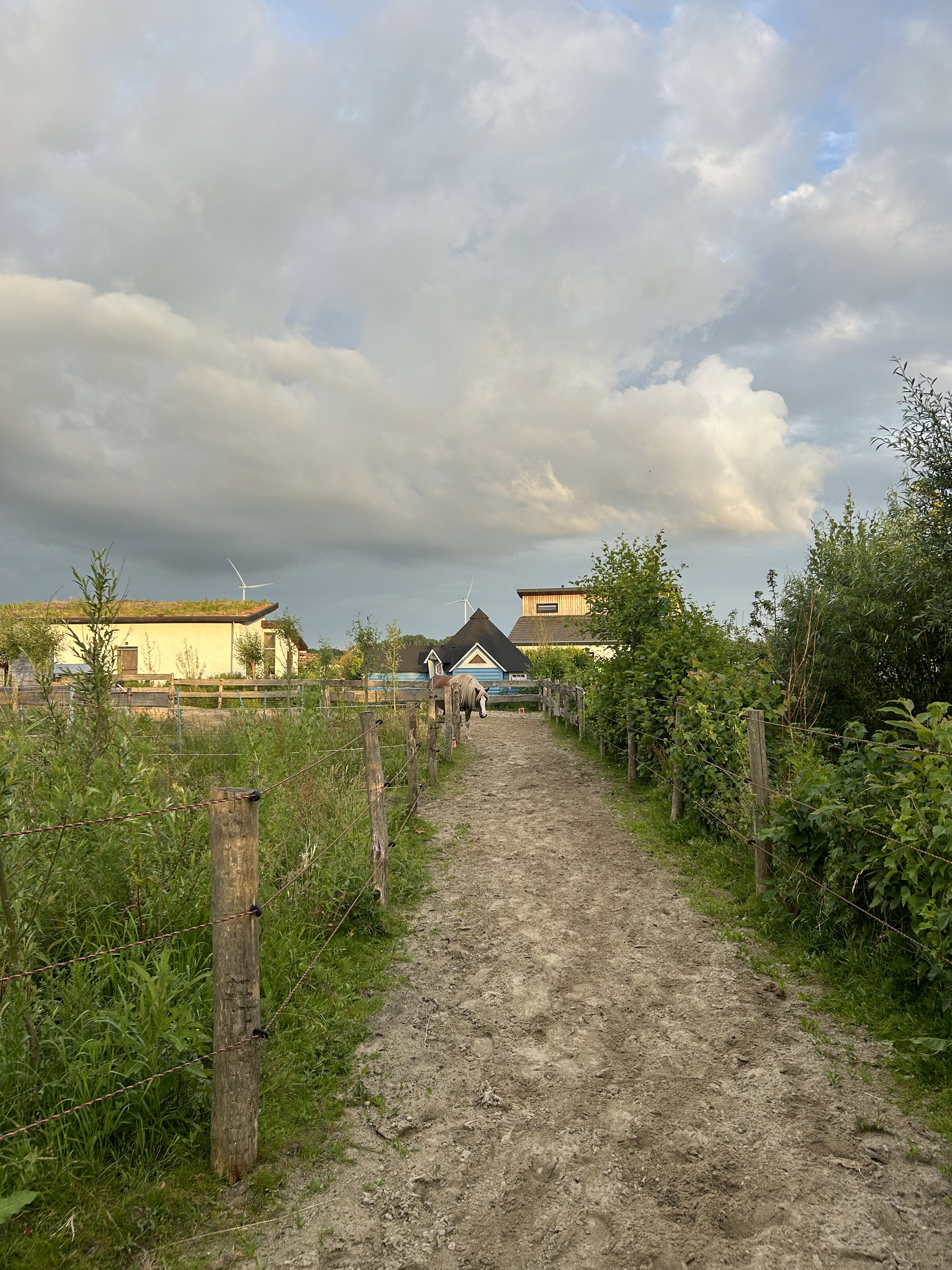 - image: 13