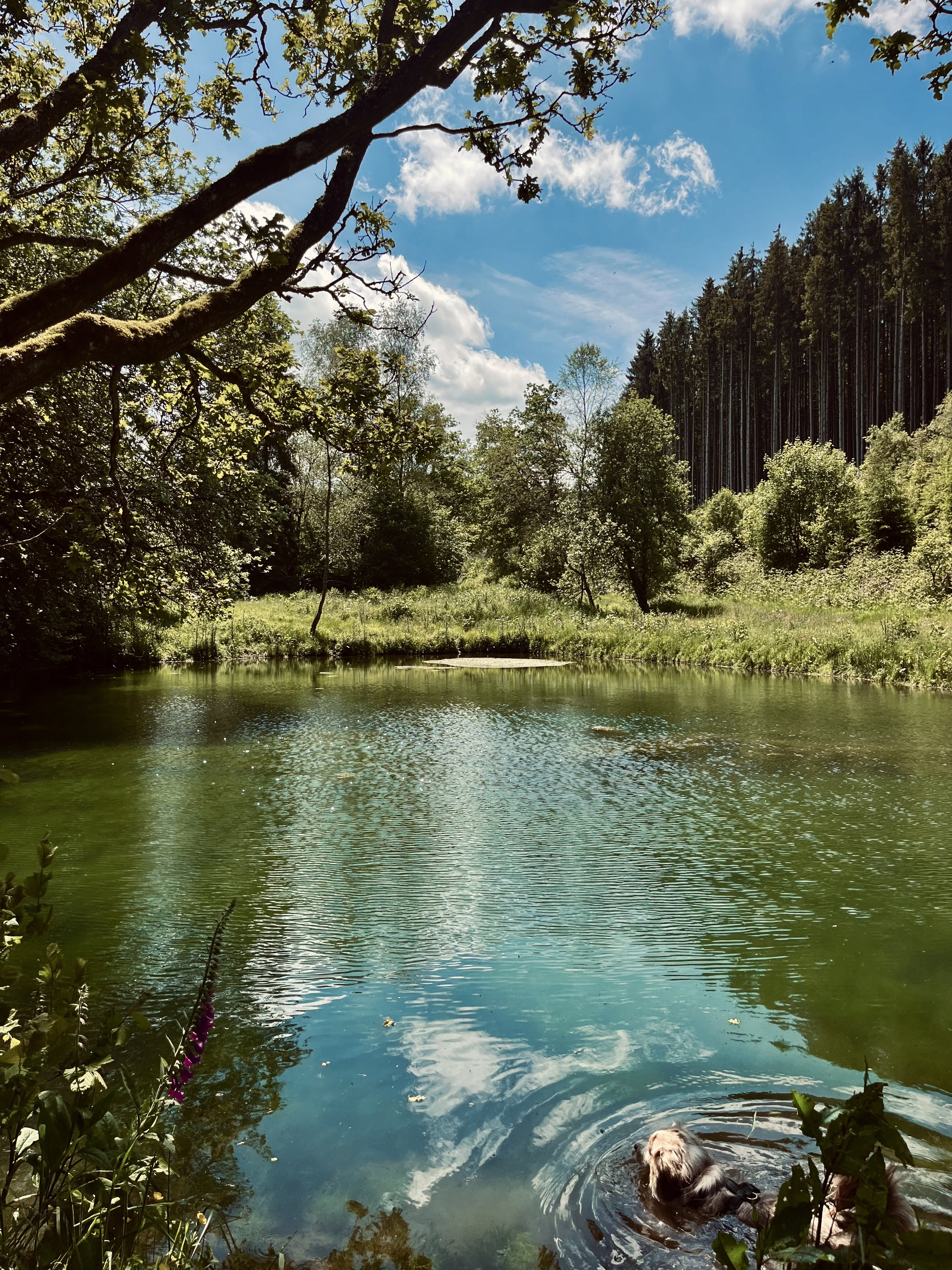 - image: 15