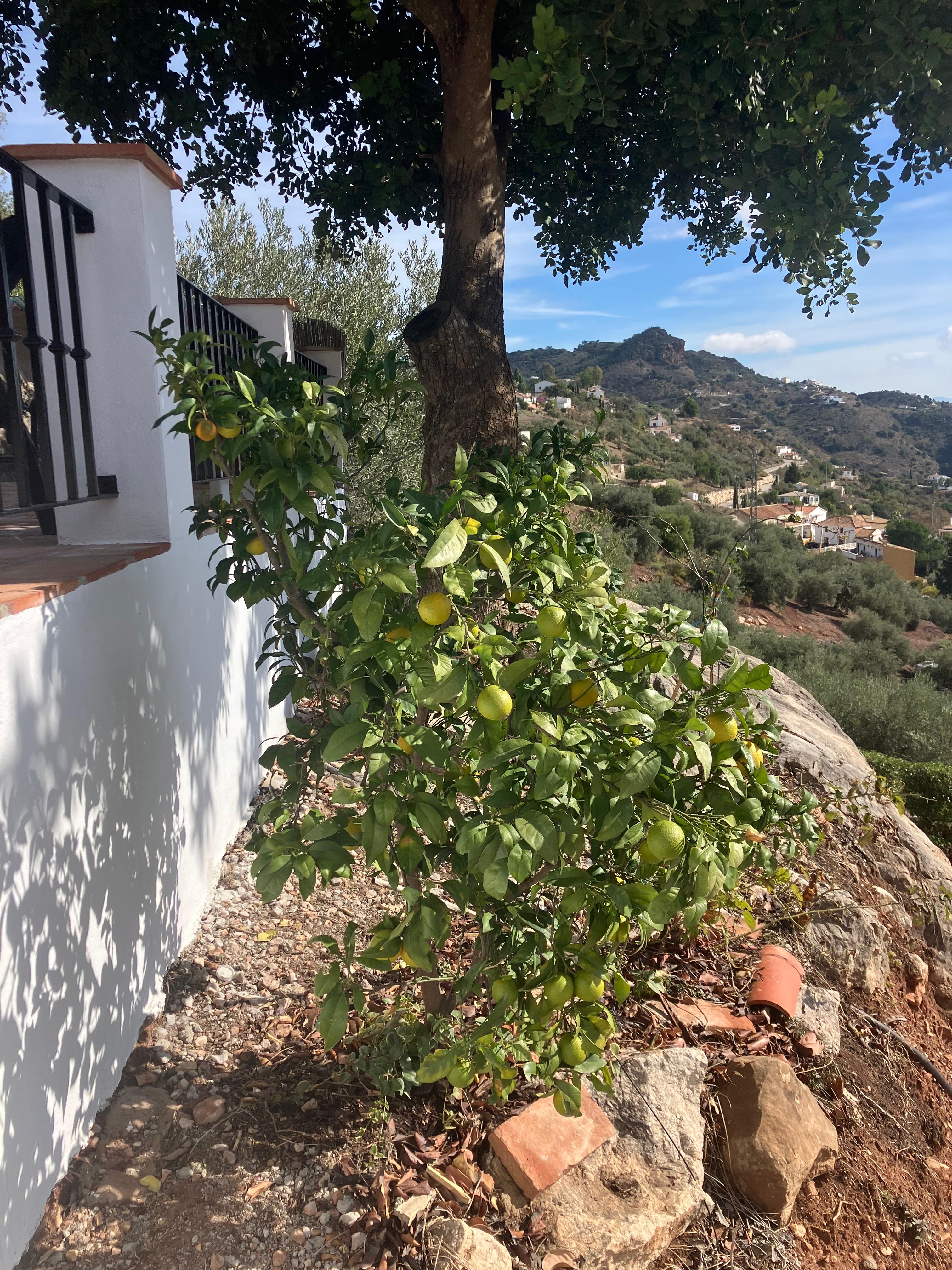 Maison nature à Comares (Malaga)