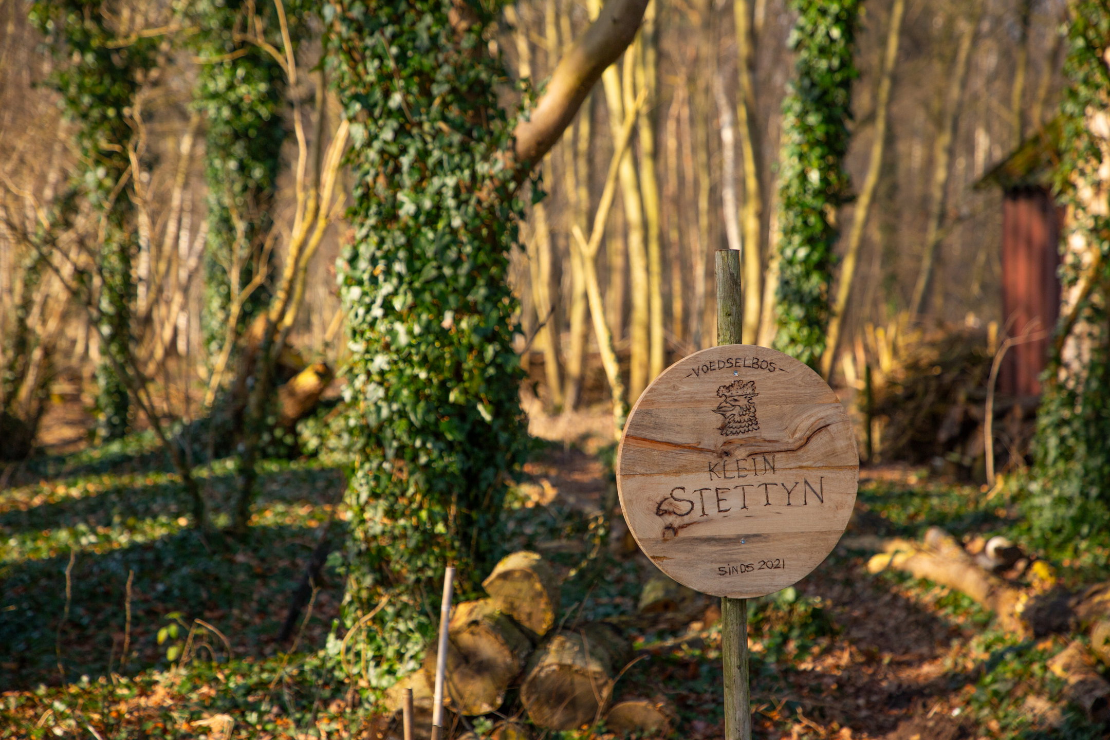 Natuurhuisje in Neede
