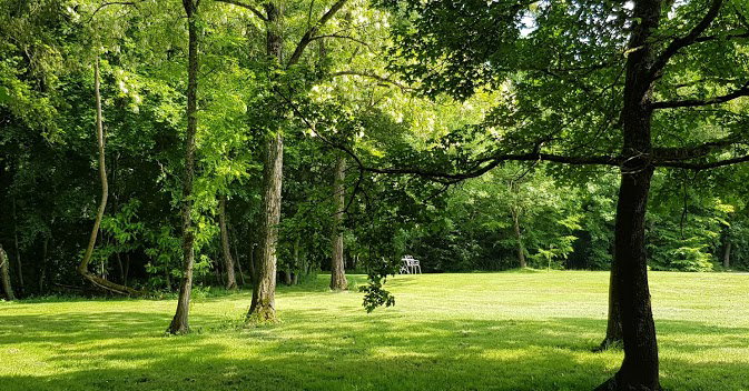 - image: 29