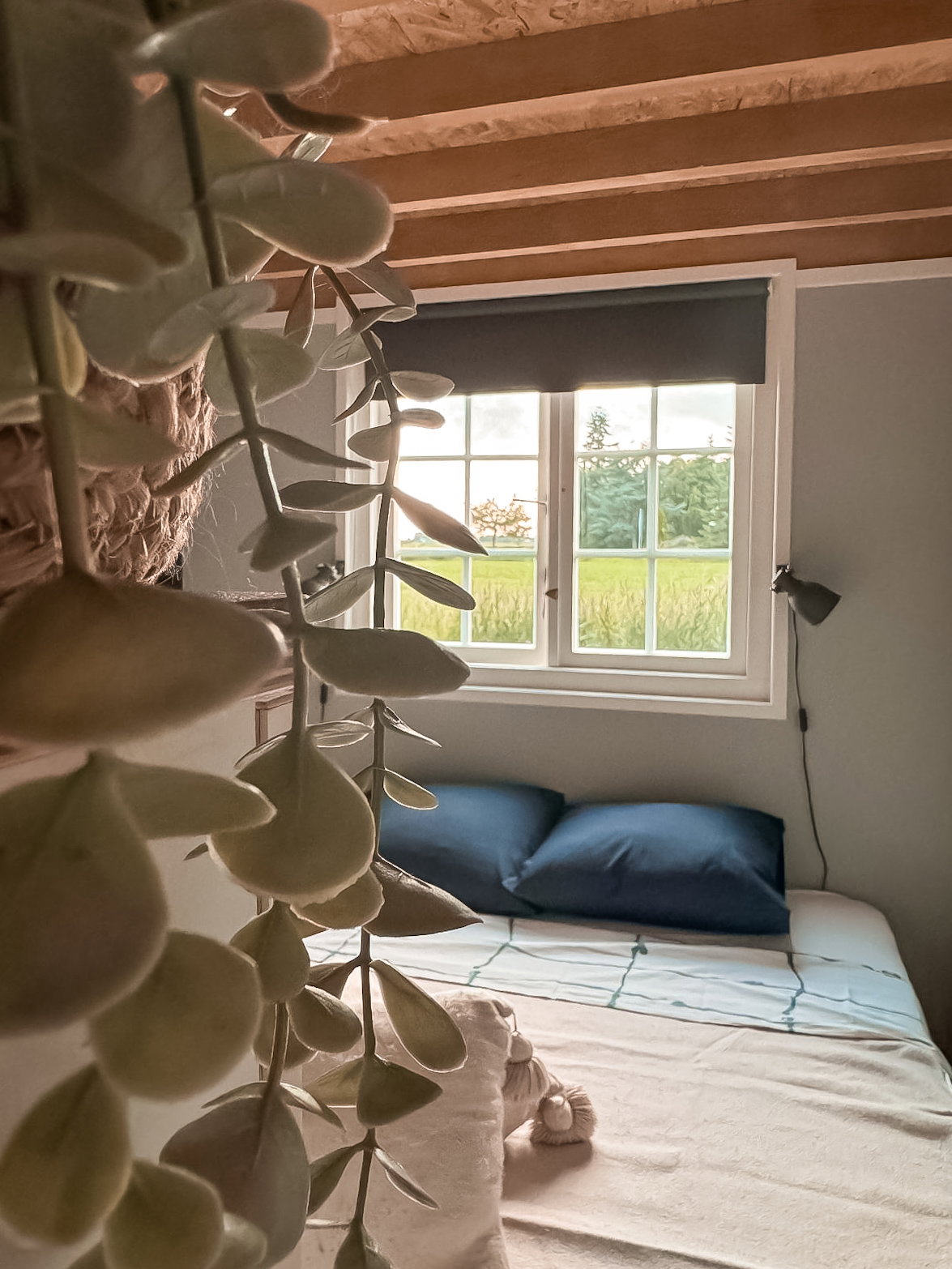 Casa nella natura a Boornbergum