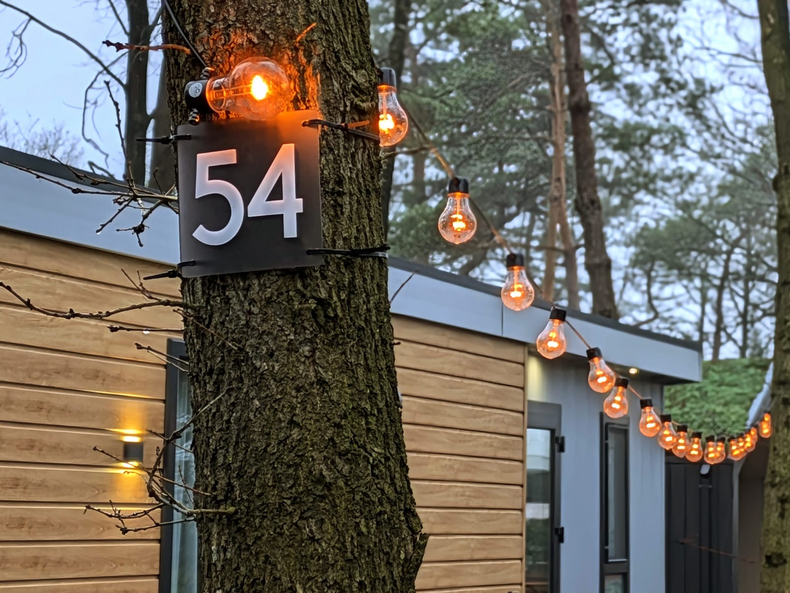 Natuurhuisje in Haarle