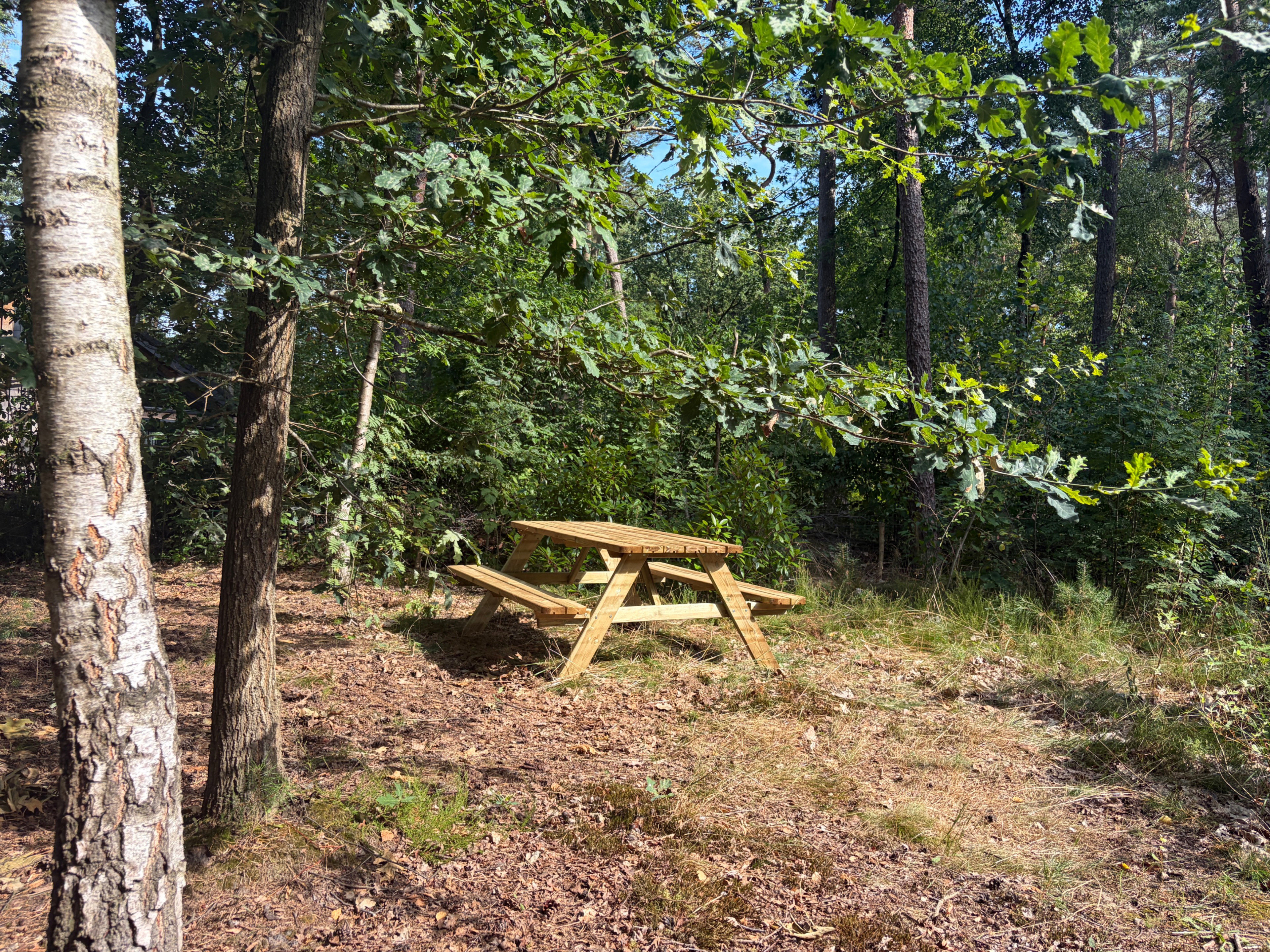 Casa nella natura a Lochem
