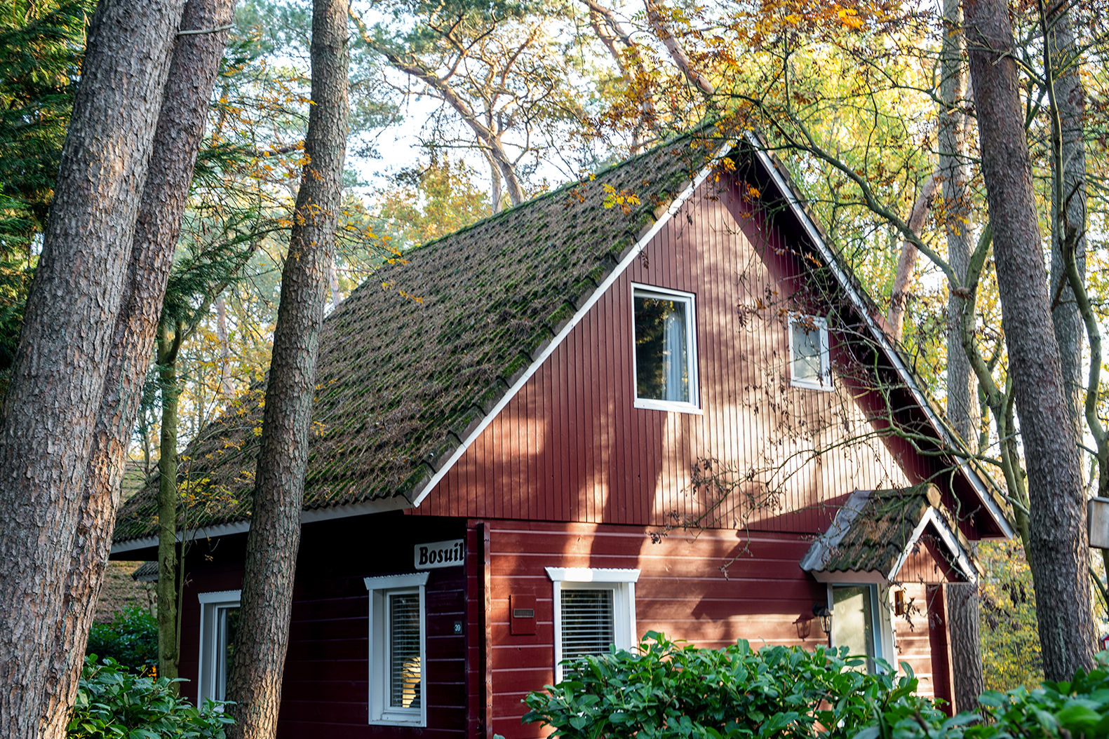 Maison nature à Soest