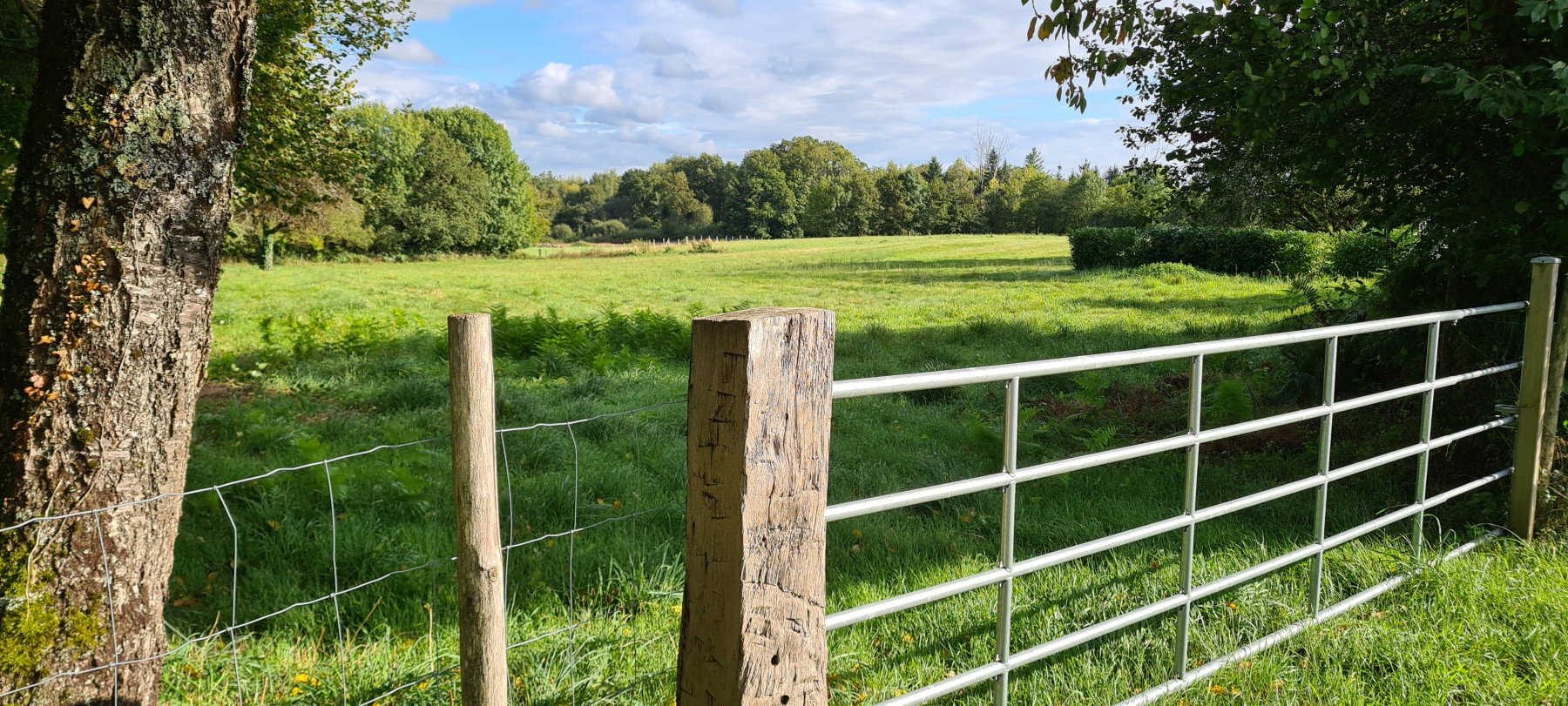 Natuurhuisje in Miallet