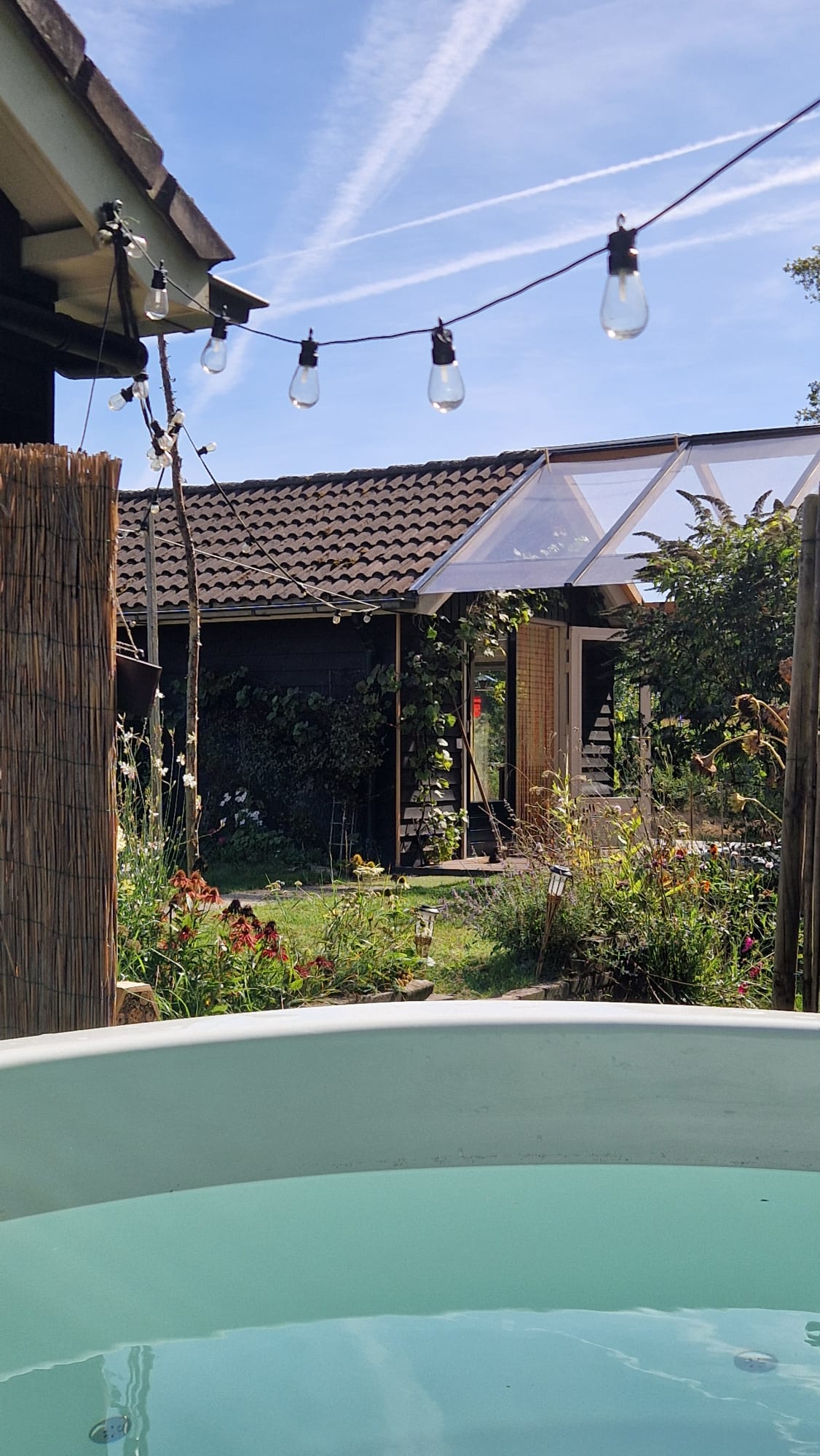 - image: 25