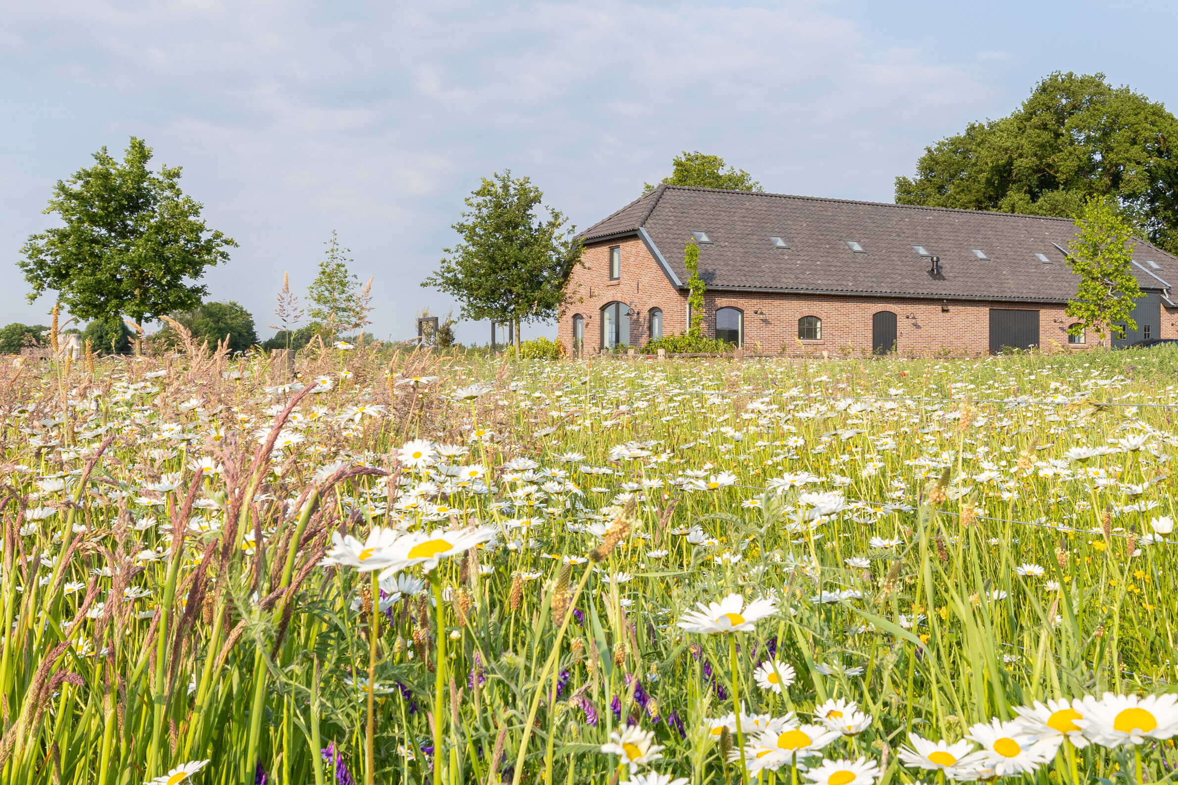Casa nella natura a Lunteren