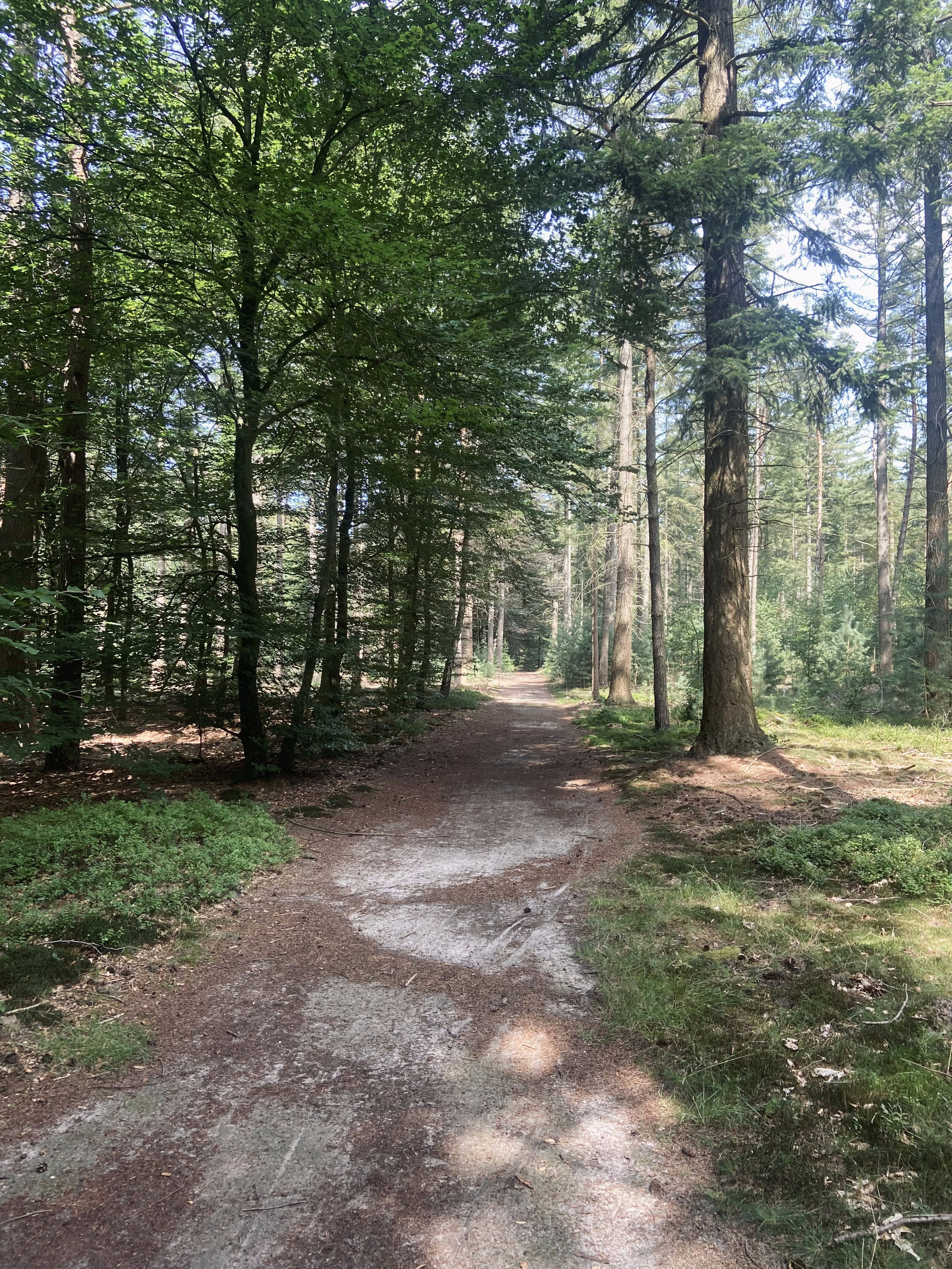 Naturhäuschen in Putten
