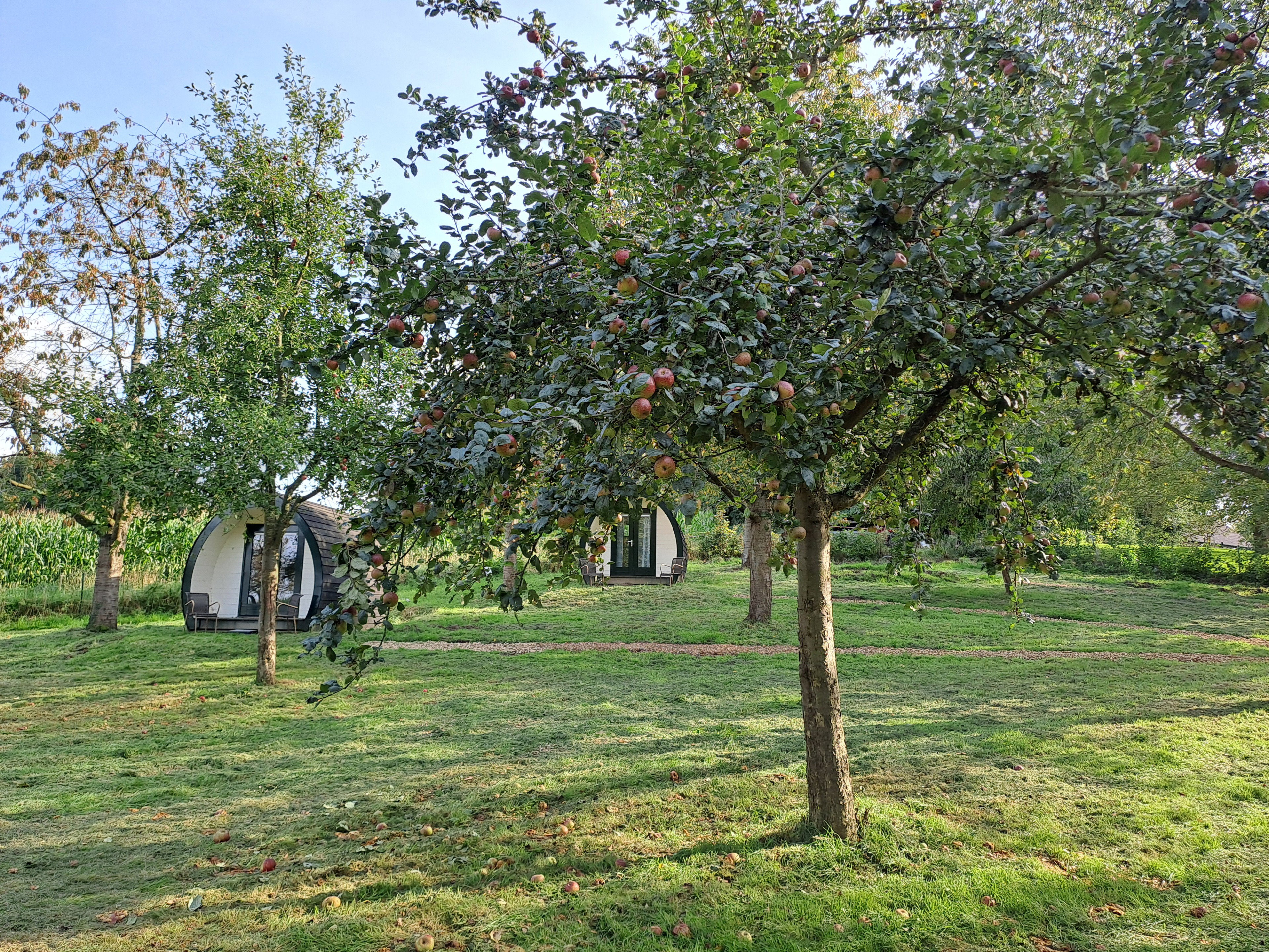 Maison nature à Bingelrade