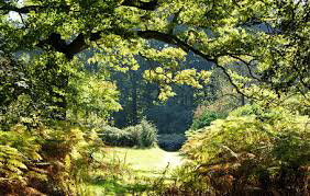 - image: 20