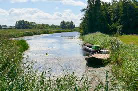 - image: 22