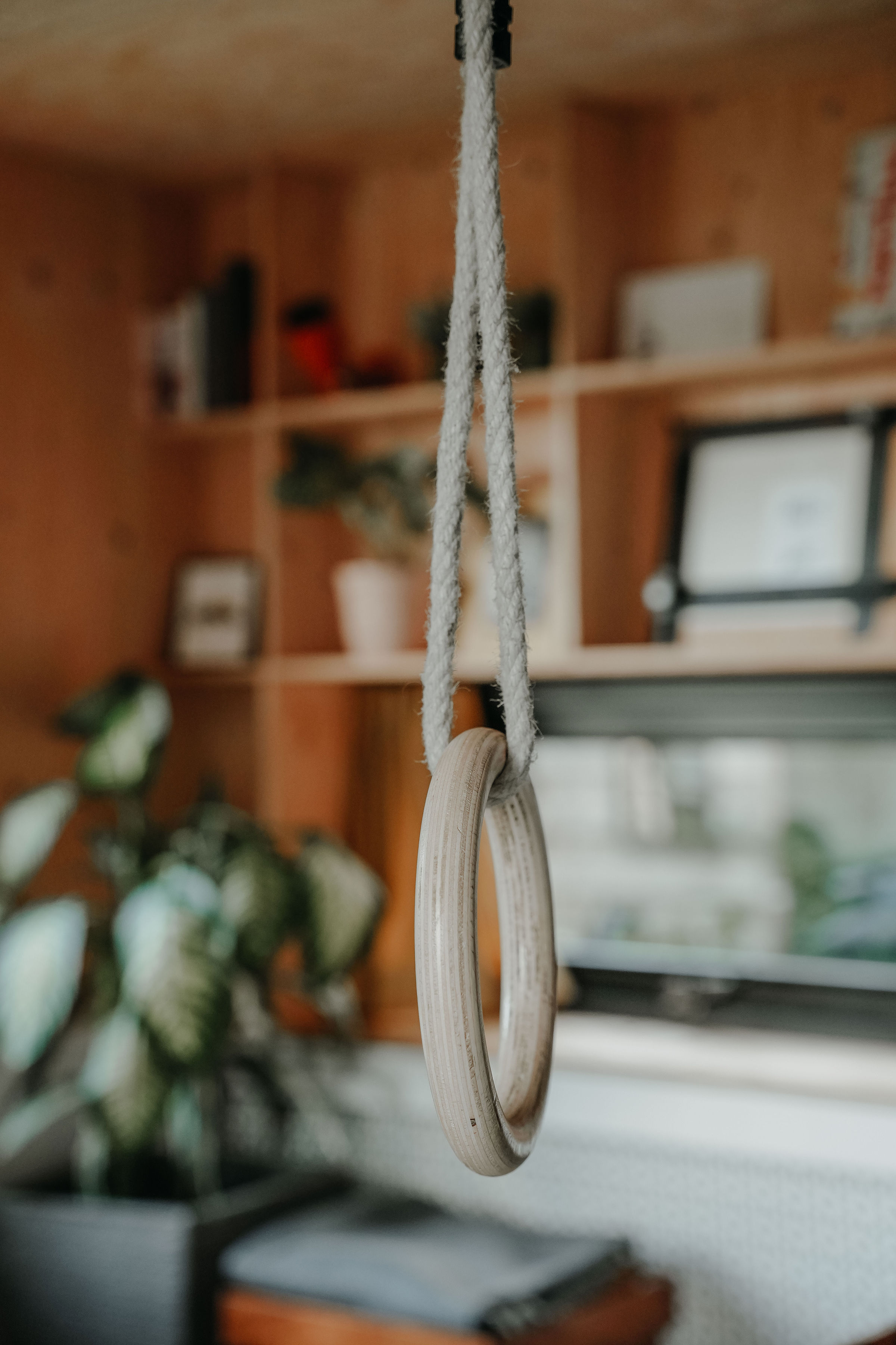 - image: 19