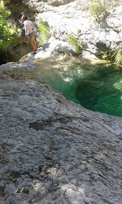 - image: 12