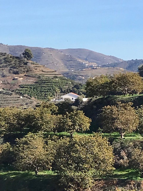 Natuurhuisje in Almuñécar