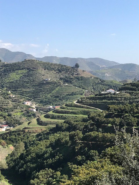 Natuurhuisje in Almuñécar