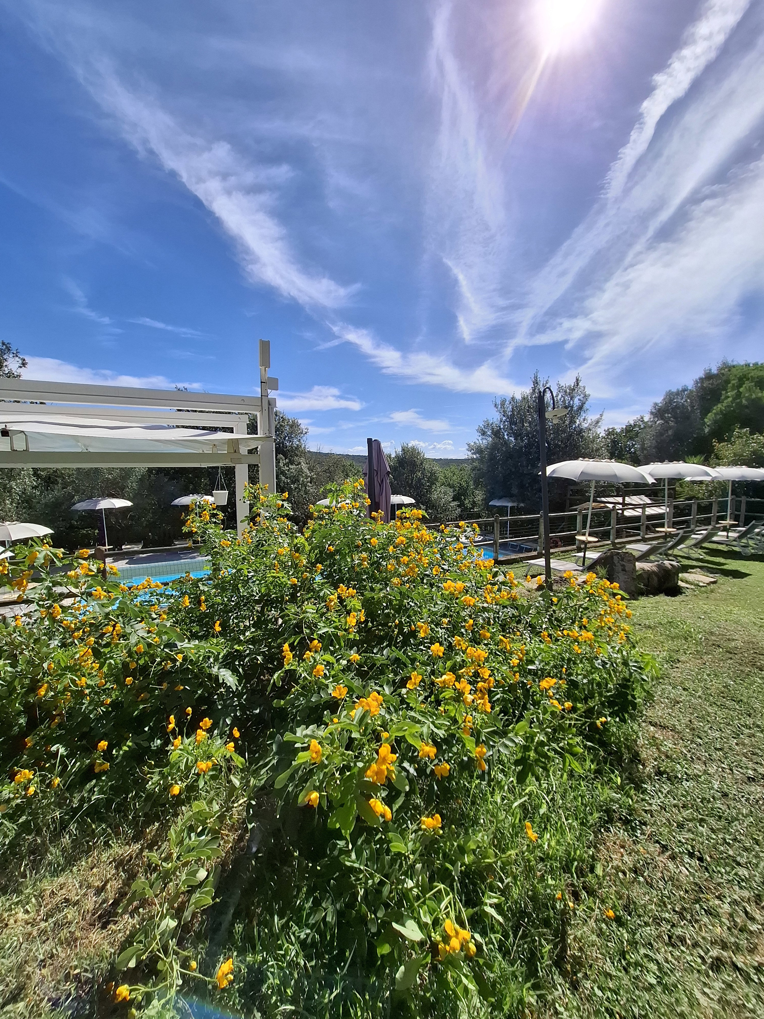 Casa nella natura a Monterotondo Marittimo
