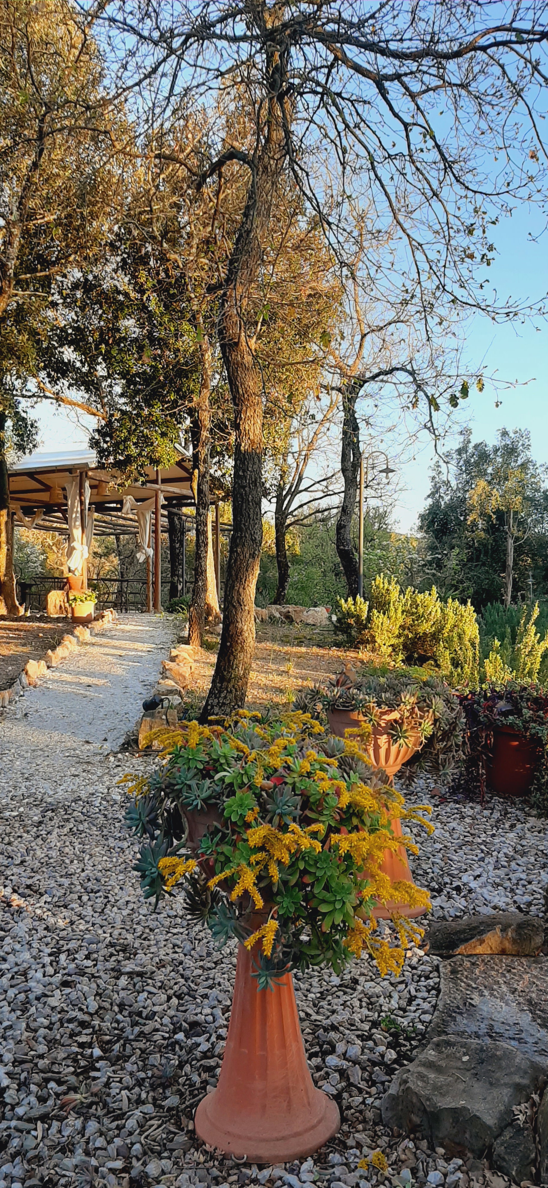 Casa nella natura a Monterotondo Marittimo