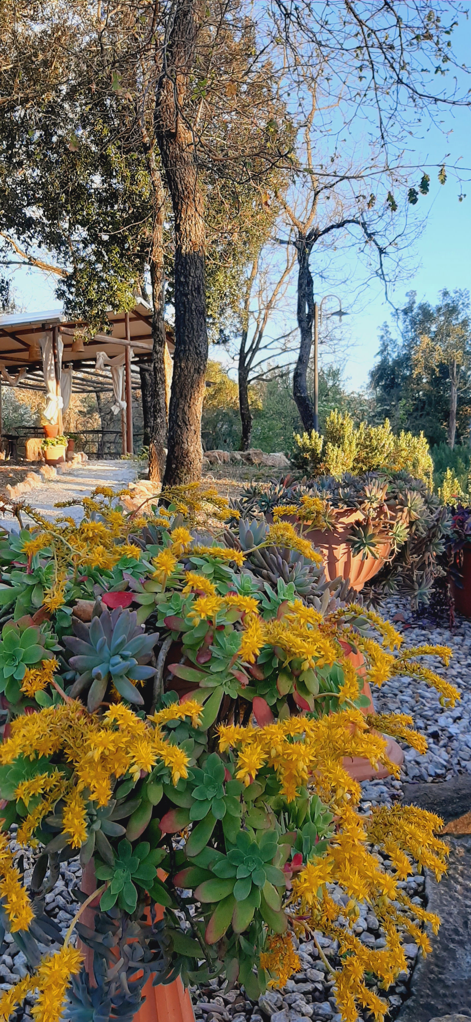 Casa nella natura a Monterotondo Marittimo