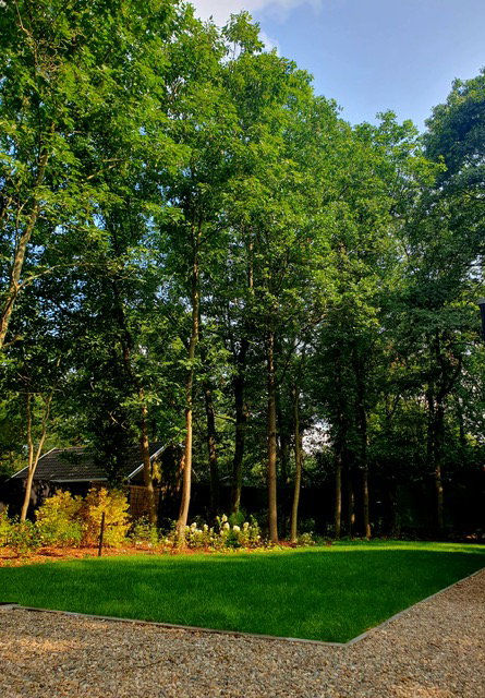 Natuurhuisje in Holten