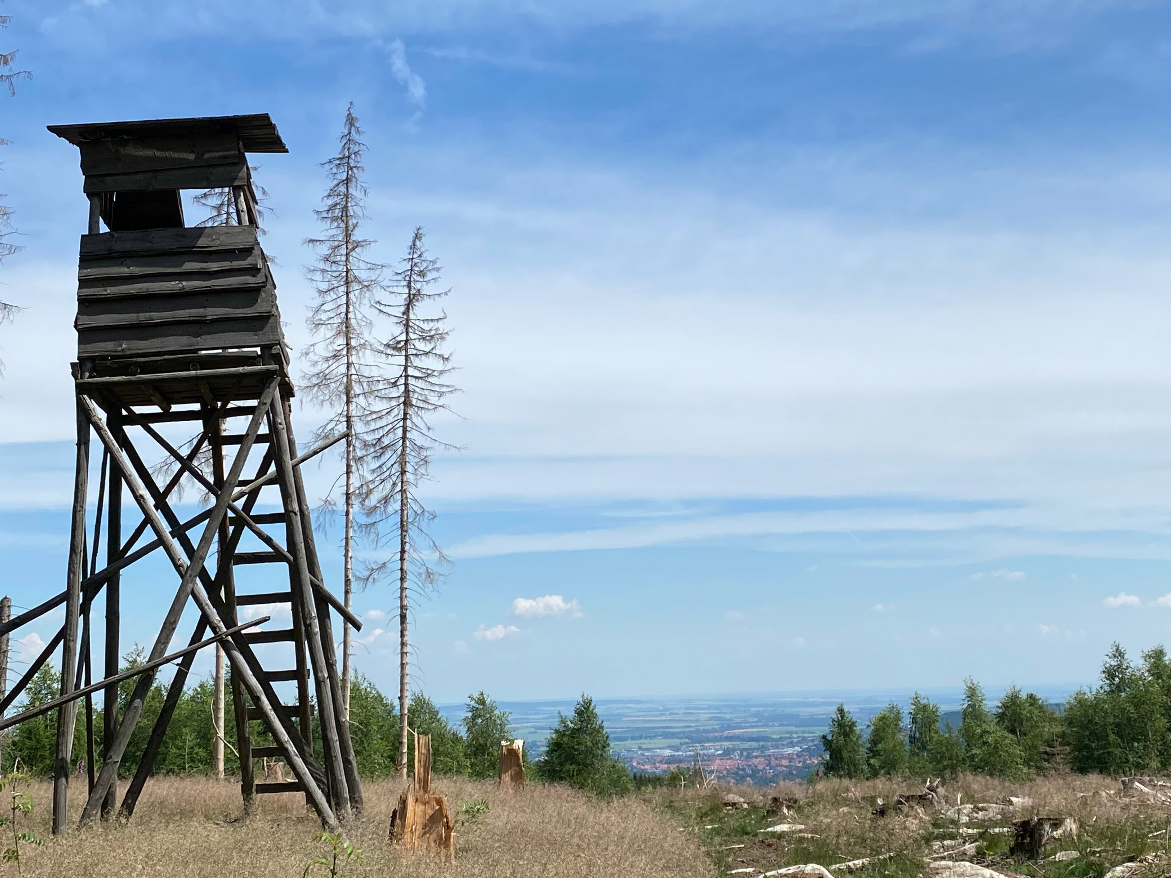 Natuurhuisje in Wernigerode