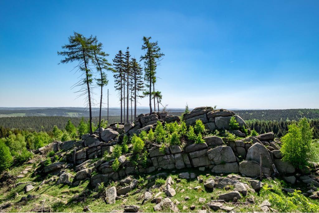 Natuurhuisje in Wernigerode