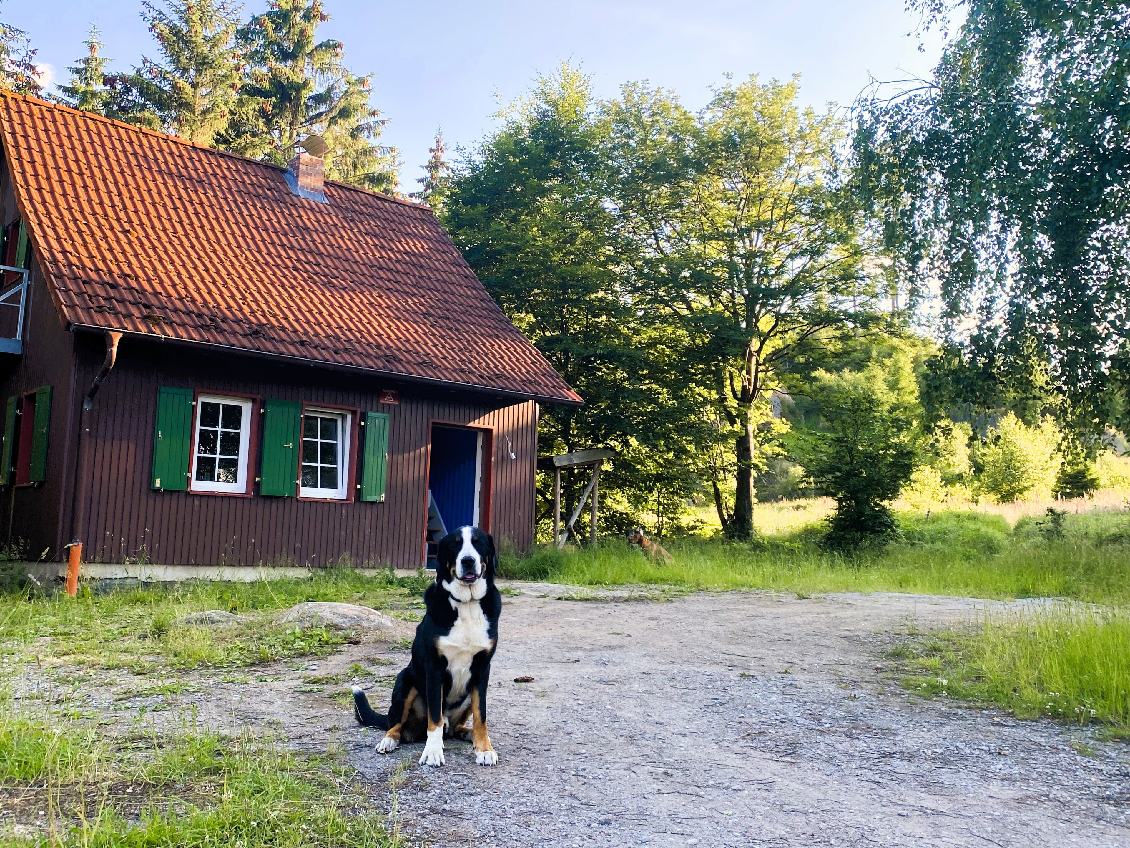 Natuurhuisje in Wernigerode