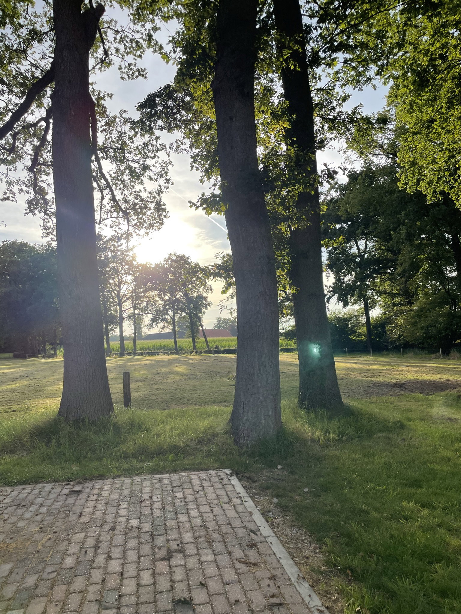 Naturhäuschen in de Lutte